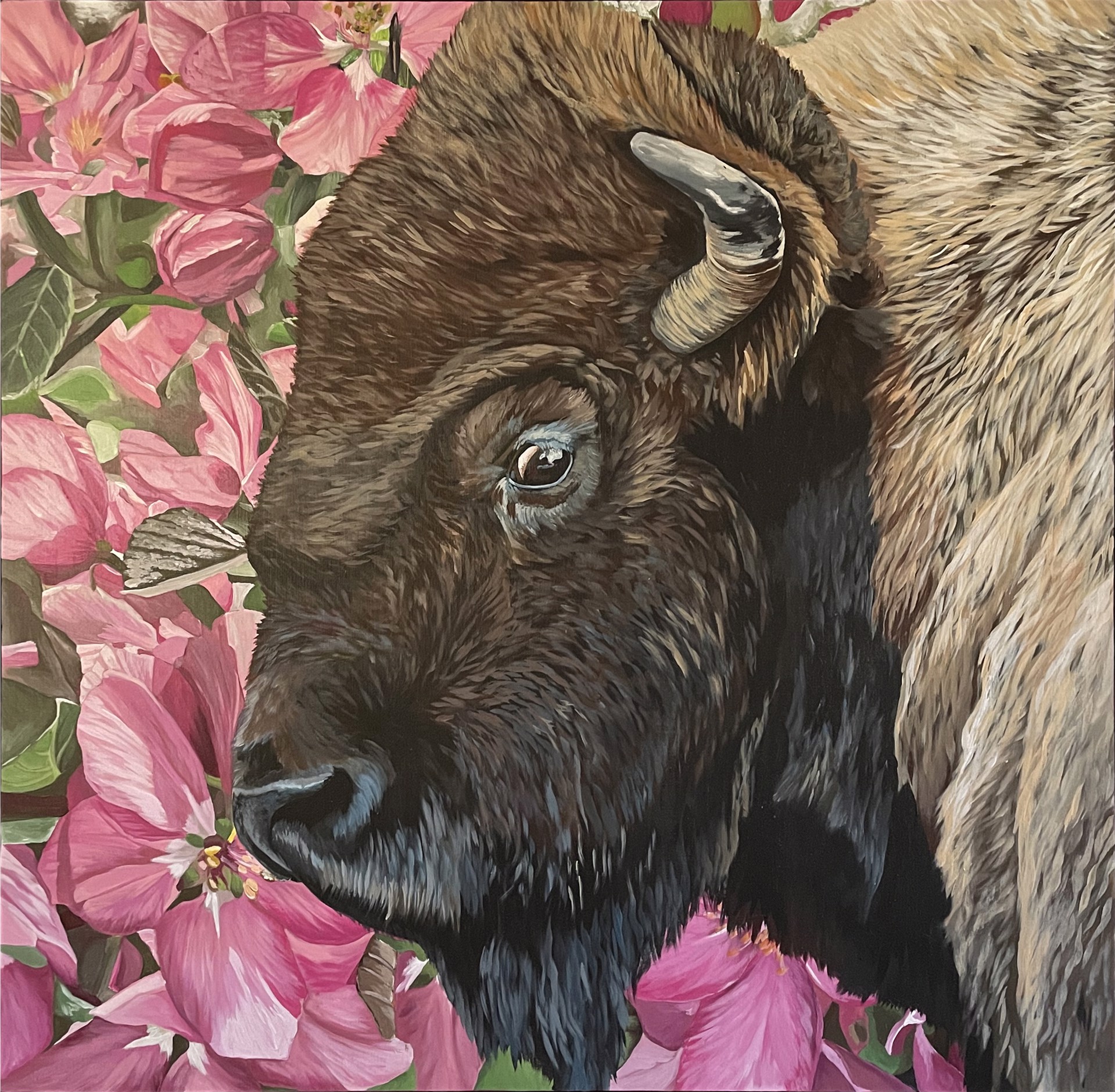 A painting of a bison in a field of pink flowers.
