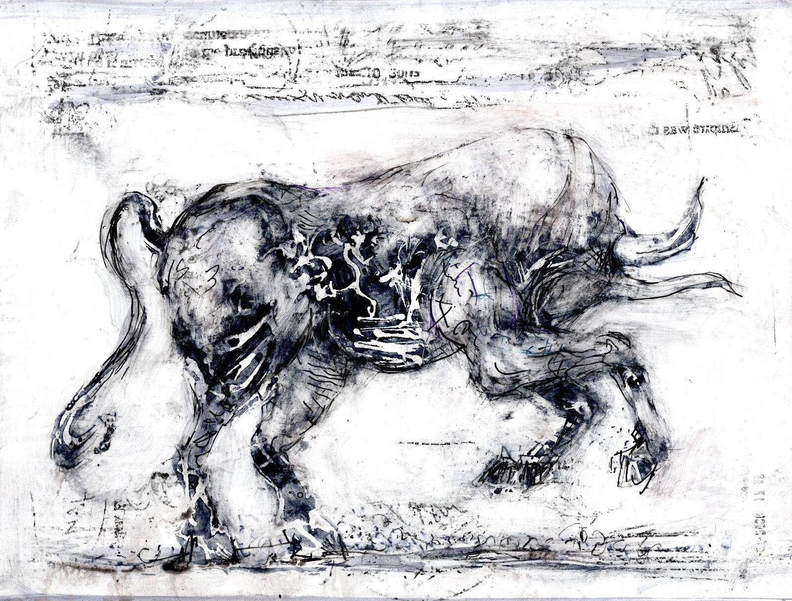 Bull by Alicia Rothman, 2023