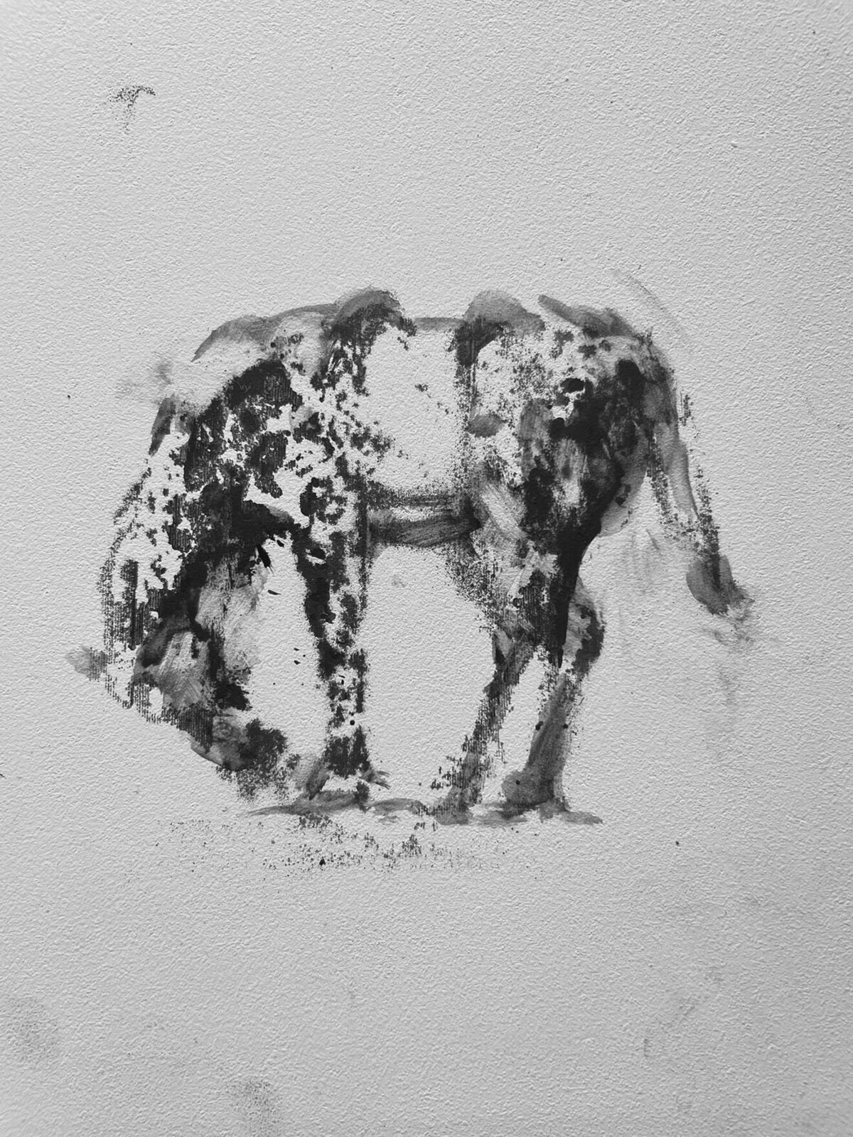 A black and white drawing of an elephant on a wall.