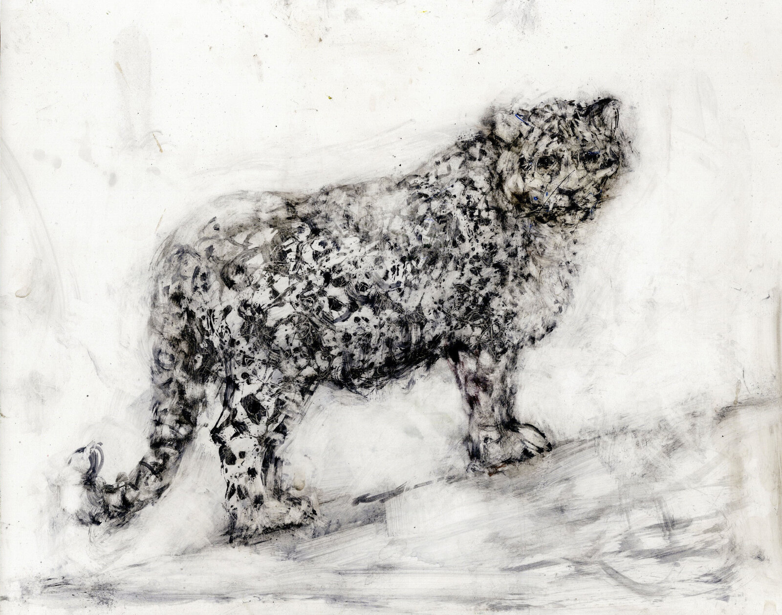 Cheetah by Alicia Rothman, 2023