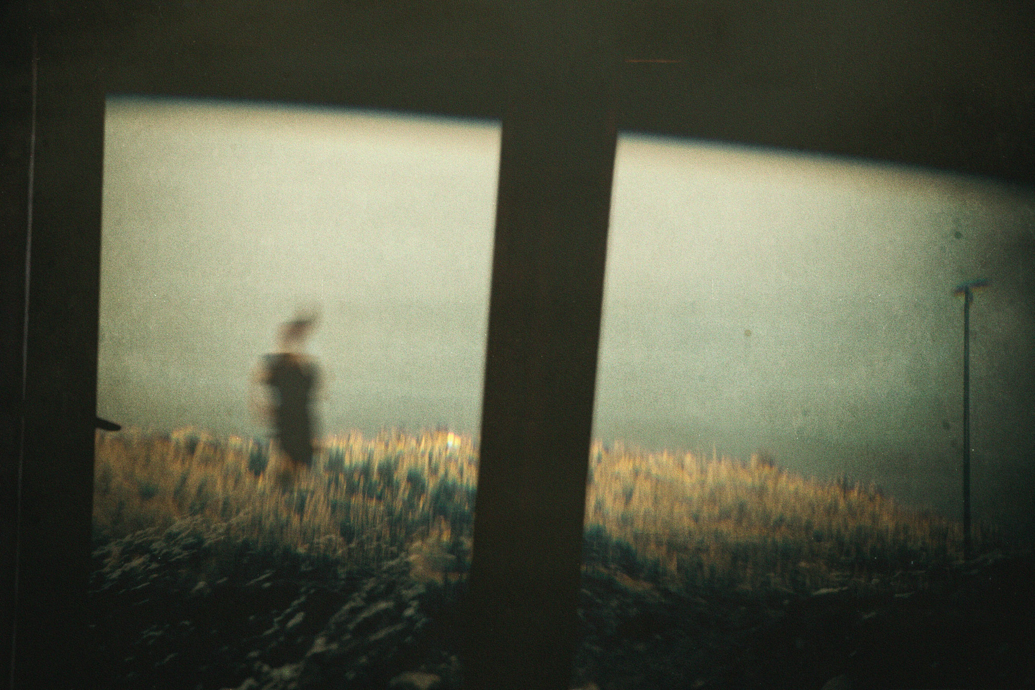 Mournful Tread by Alireza Movahedi, 2019