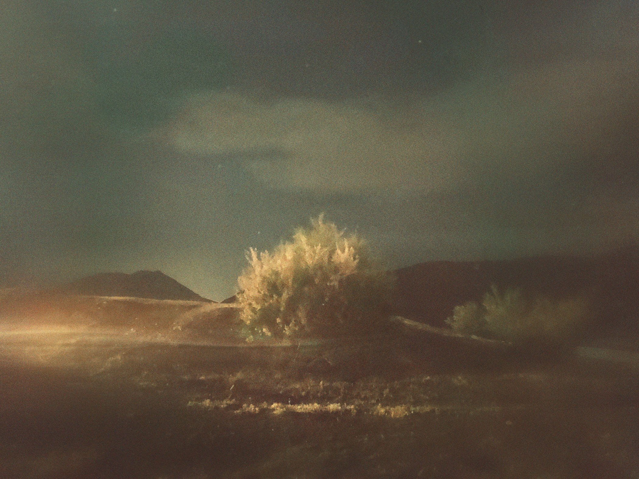 Before the Fading by Alireza Movahedi, 2025