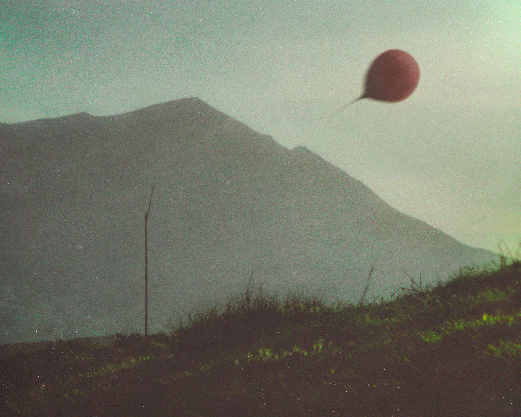 Detachment by Alireza Movahedi, 2025