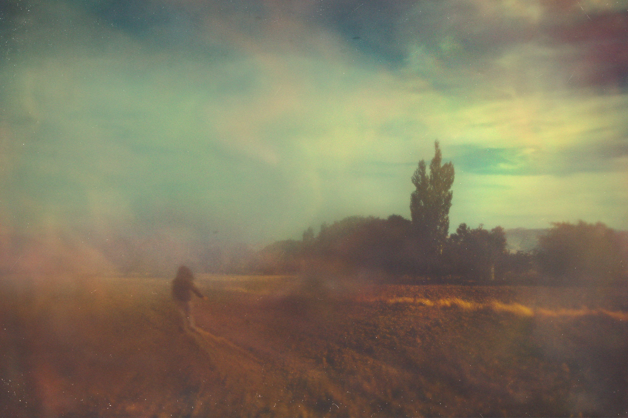 A person walking down a dirt road in a field.