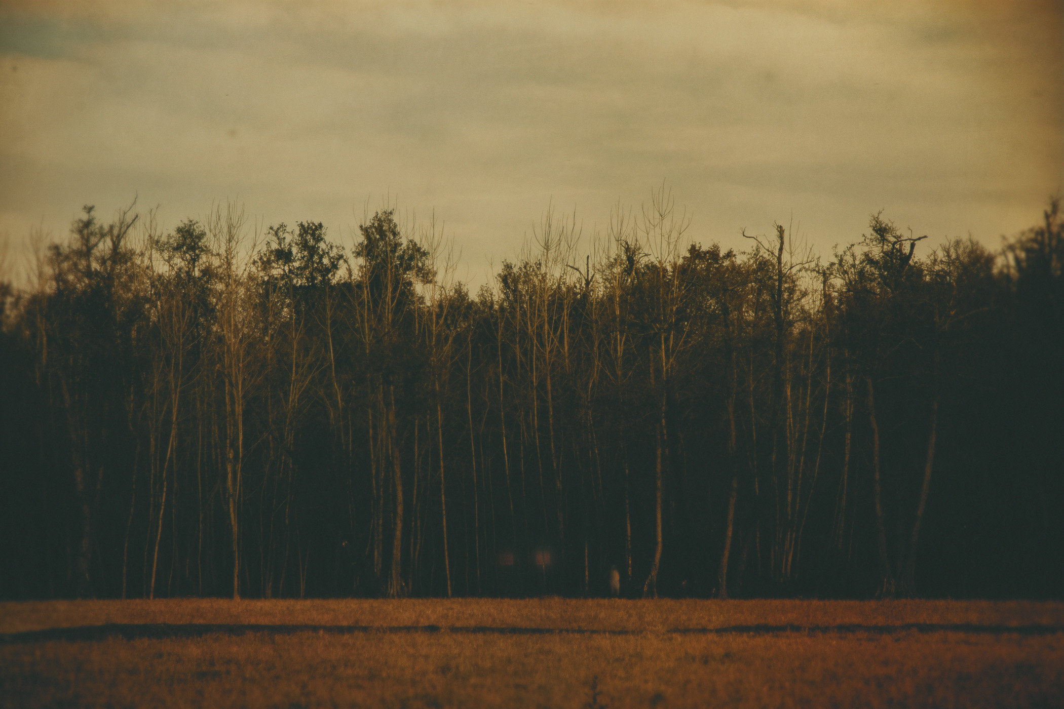 Trapped by Alireza Movahedi, 2023