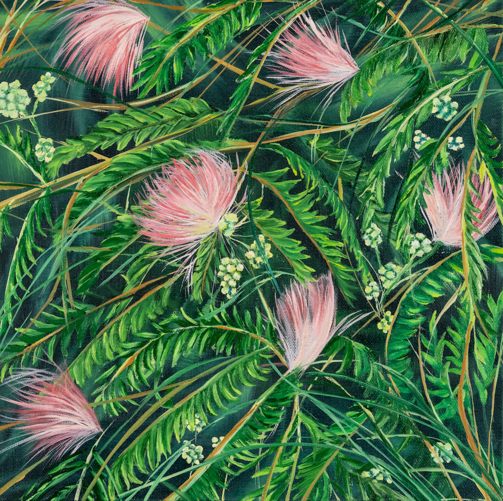 Albizia Julibrissin Study by Allison Green, 2022