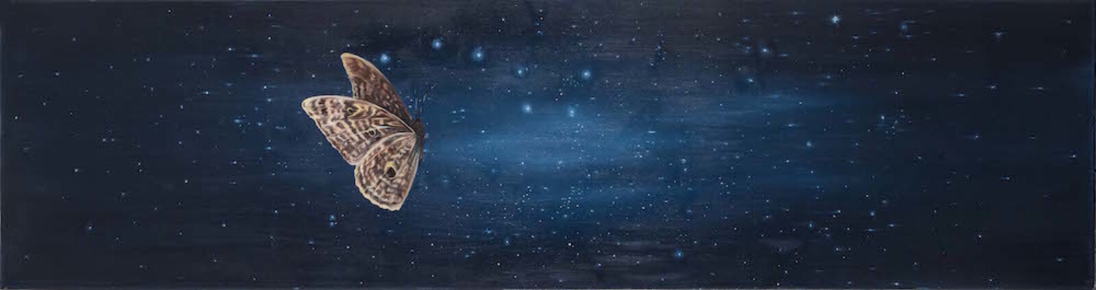a painting of a butterfly flying through the night sky