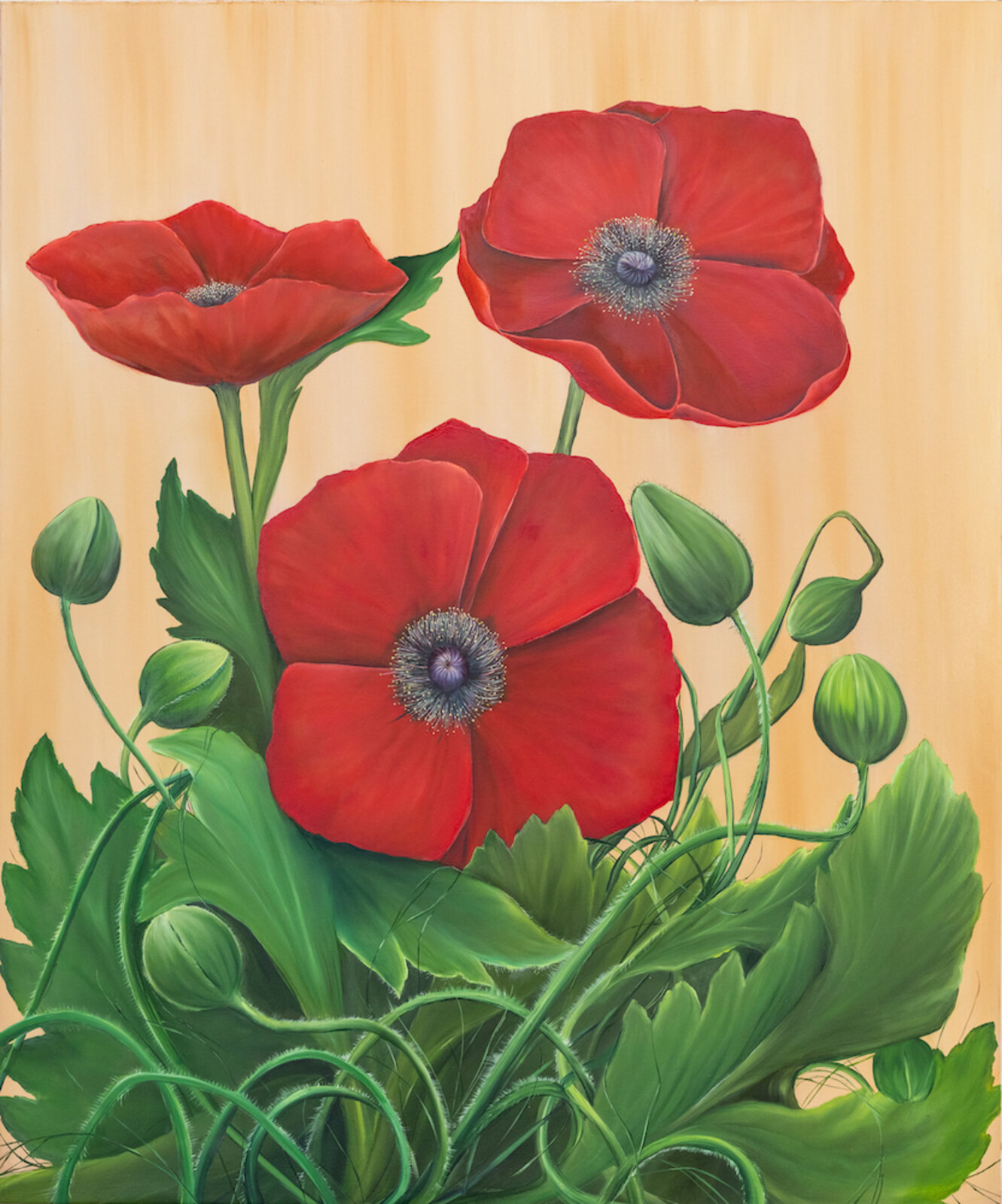 Corn Poppies by Allison Green, 2022