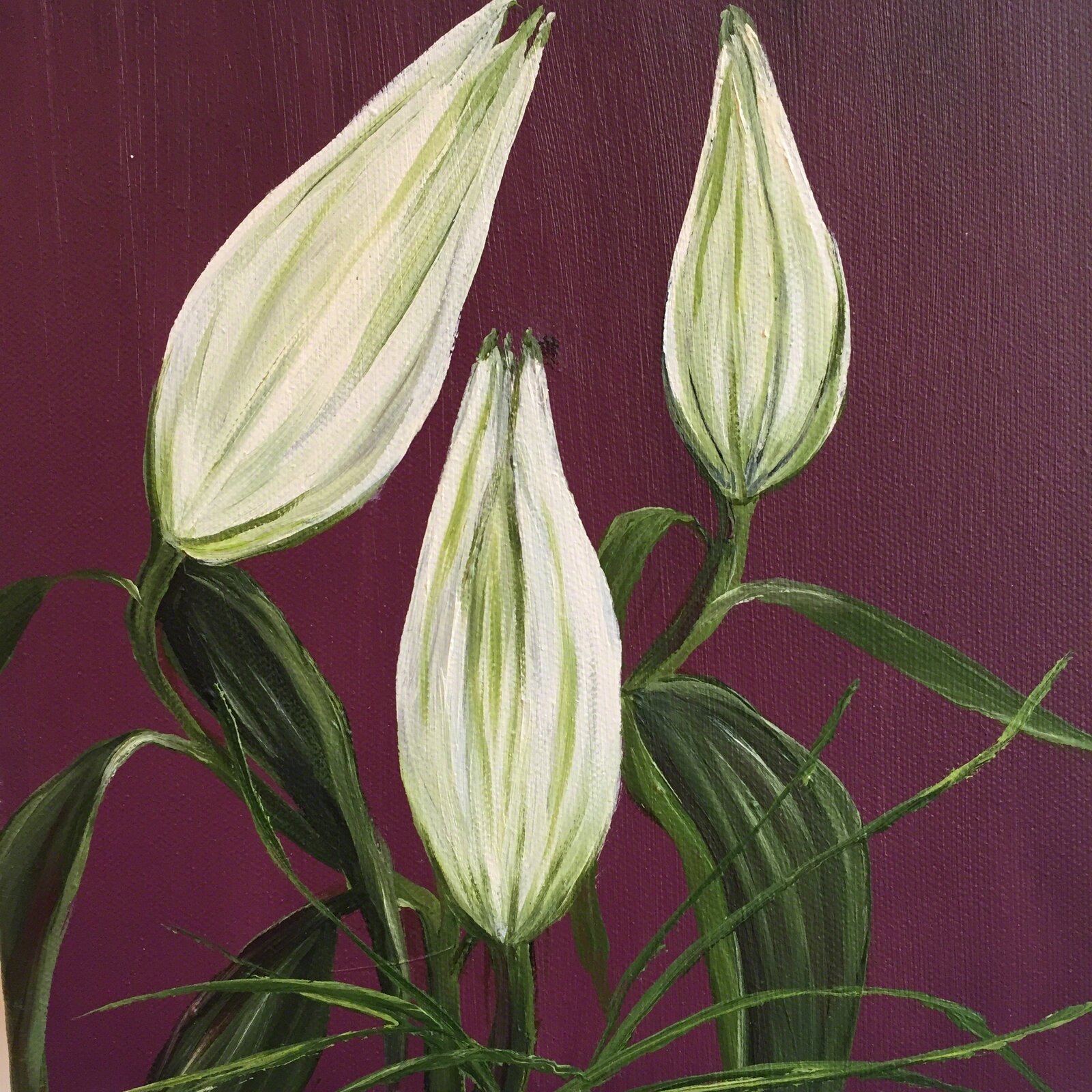 A painting of three white flowers on a purple background.