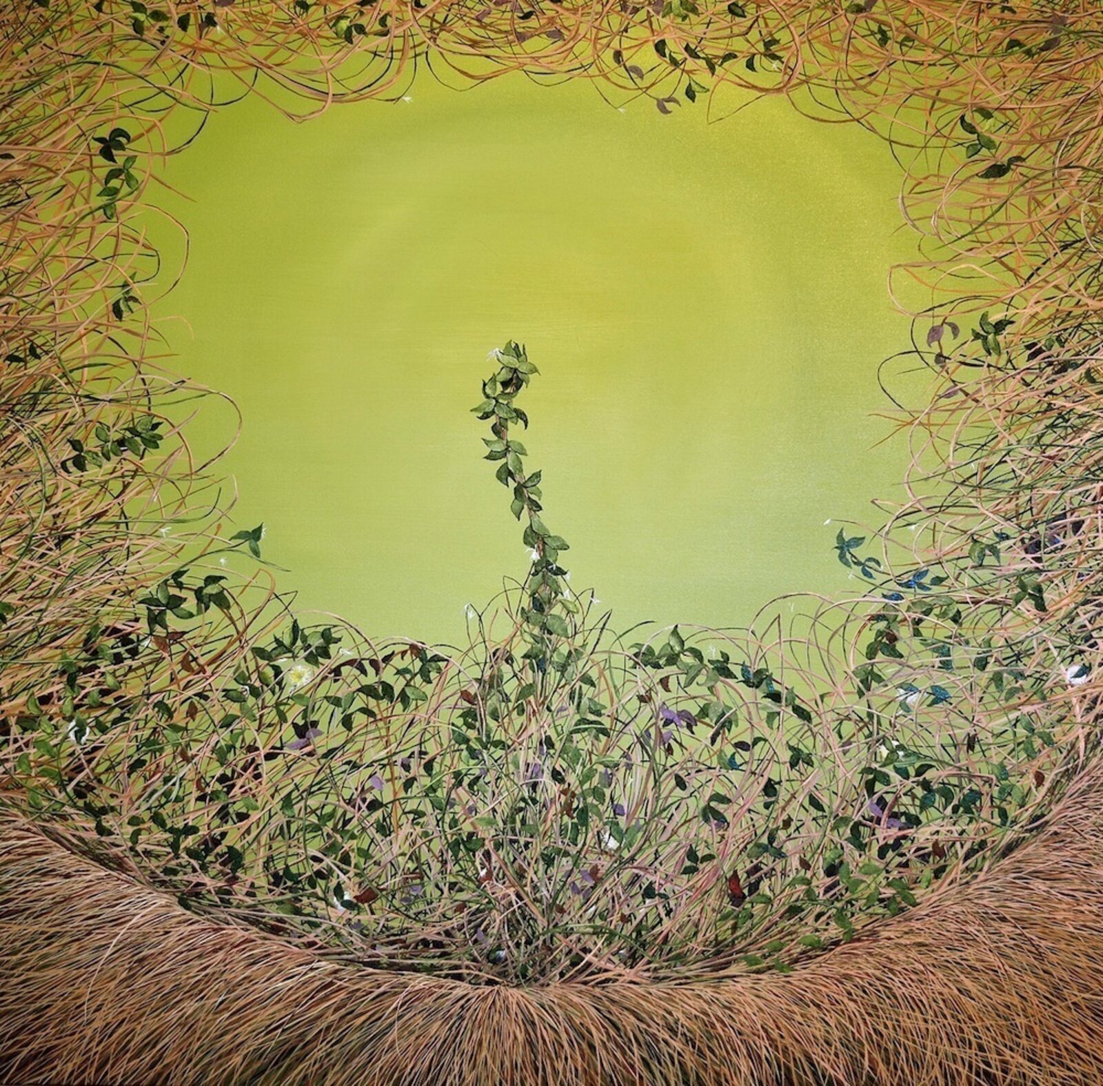 A painting of a plant in the middle of a grassy field.