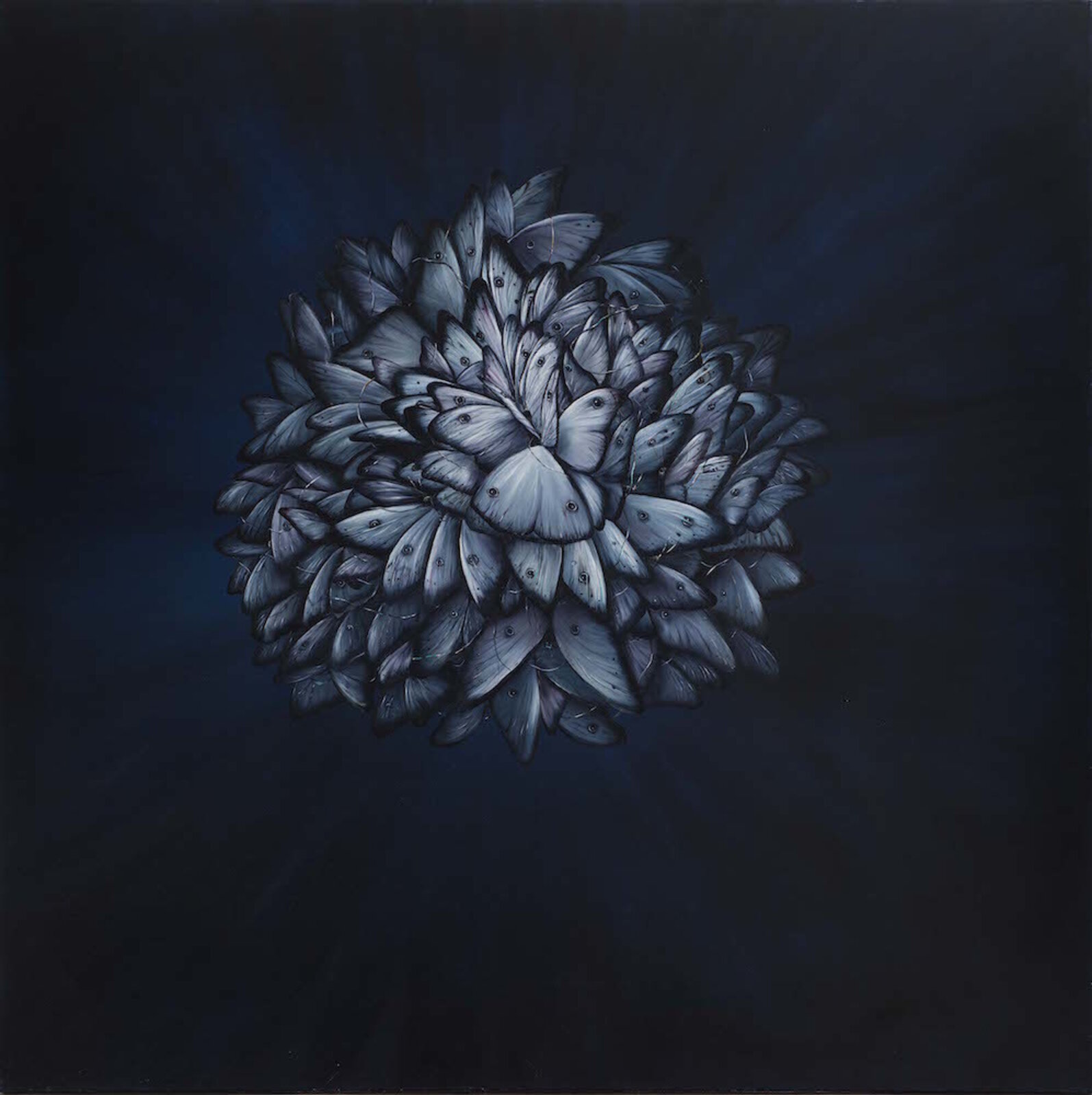 A painting of a black and white flower on a dark blue background.