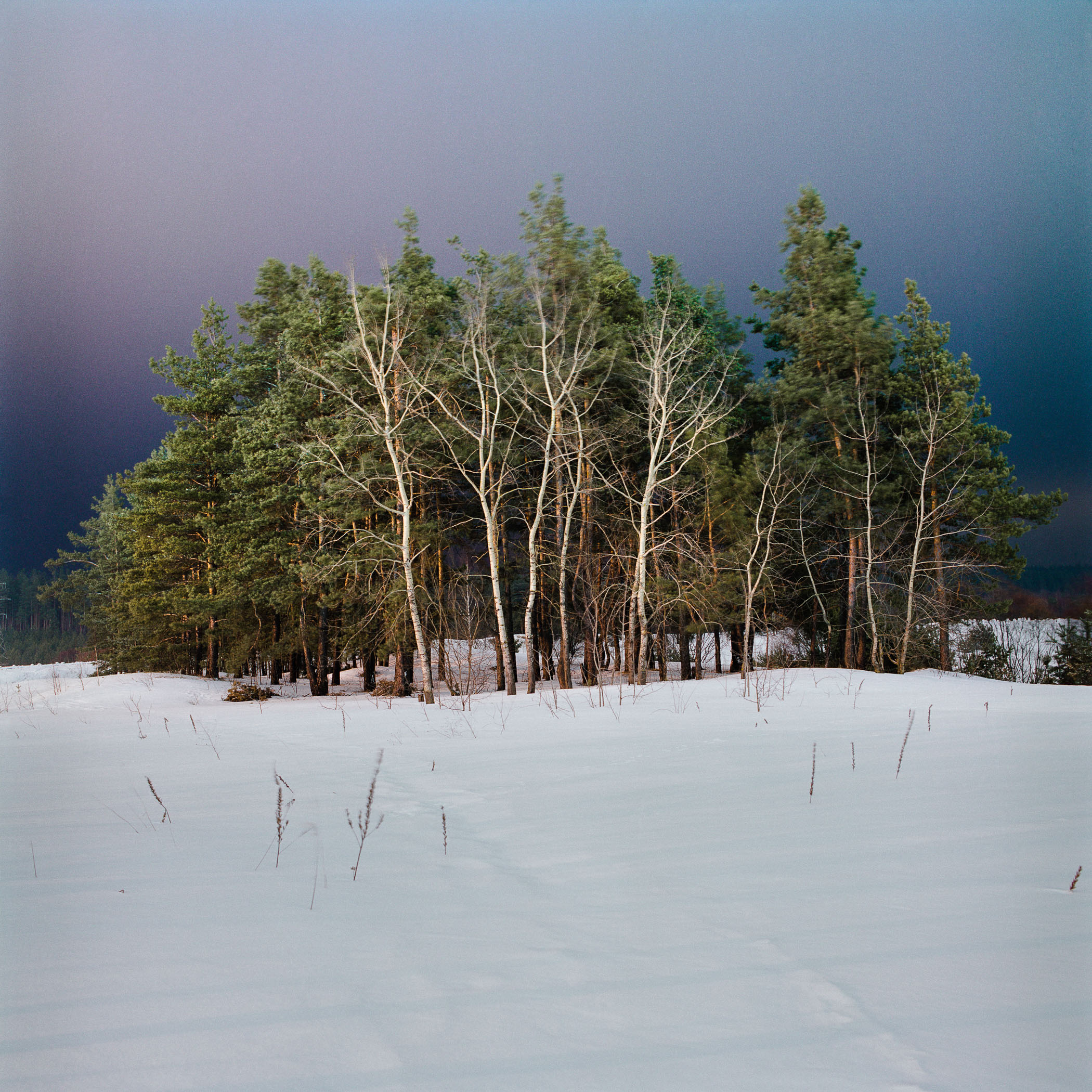 Not even Something #28 by Alnis Stakle, 2013