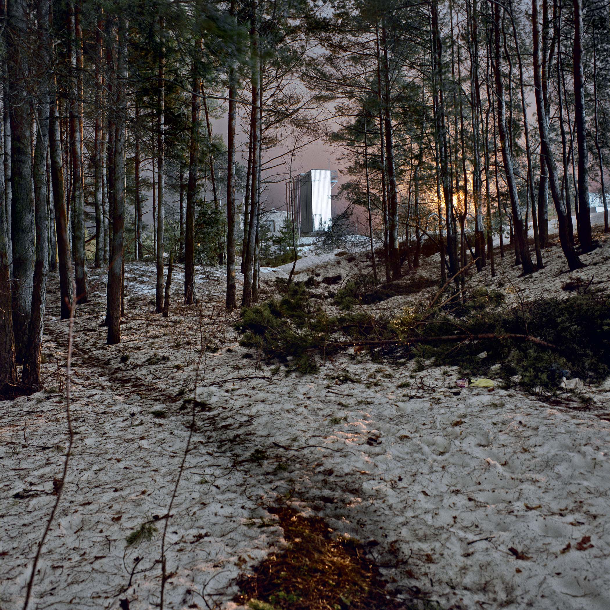 A snow covered forest with a building in the background.