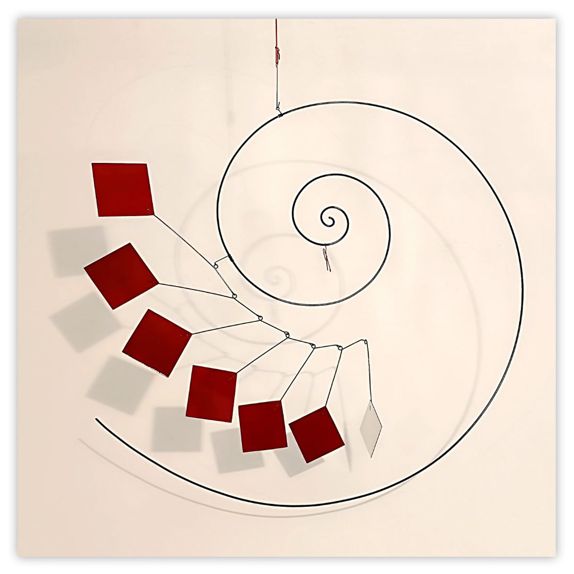 My Shell by Amaury Maillet, 2021