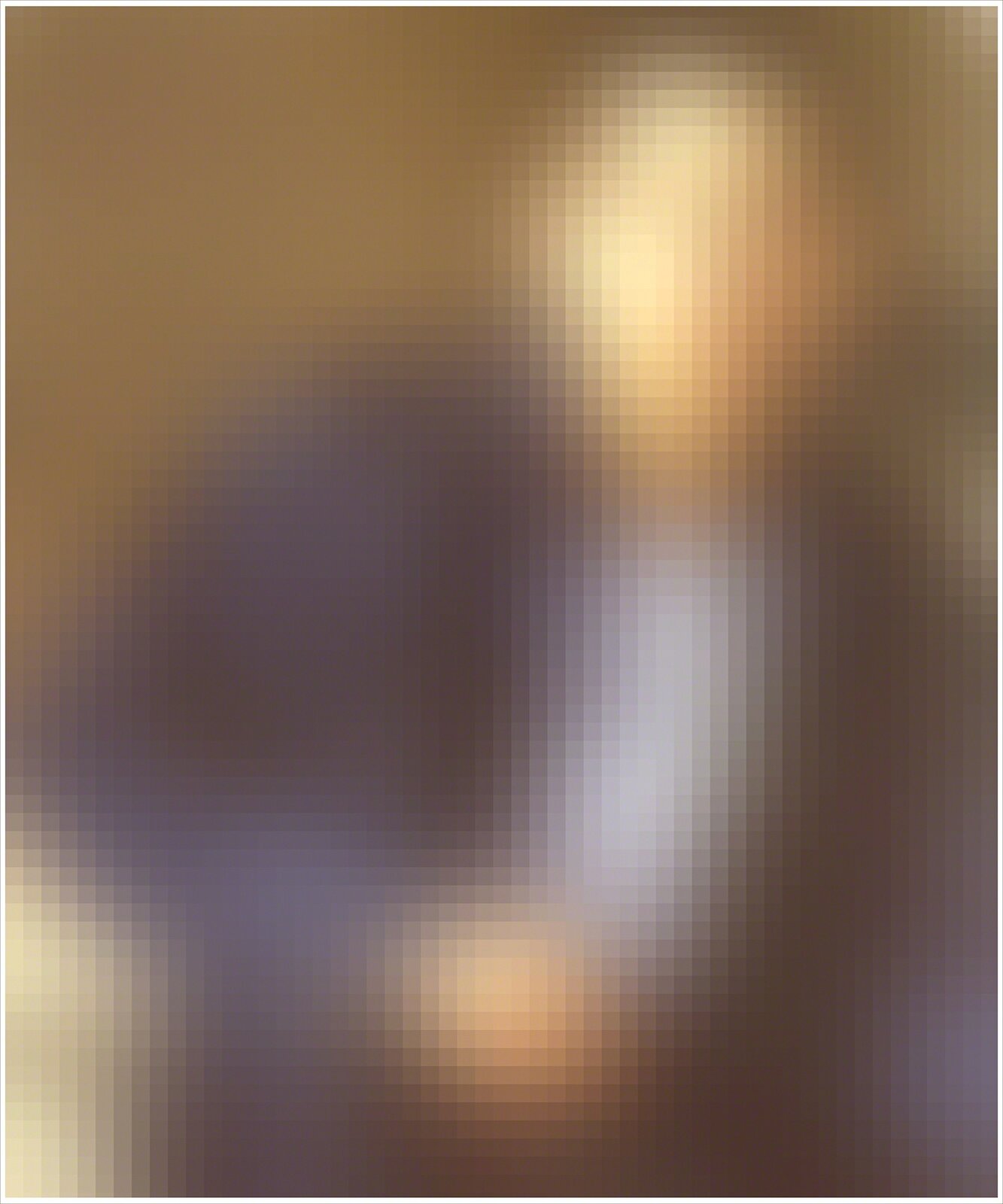 17/35 (Not the Man I Once Was) by Amy Elkins, 2009-2016