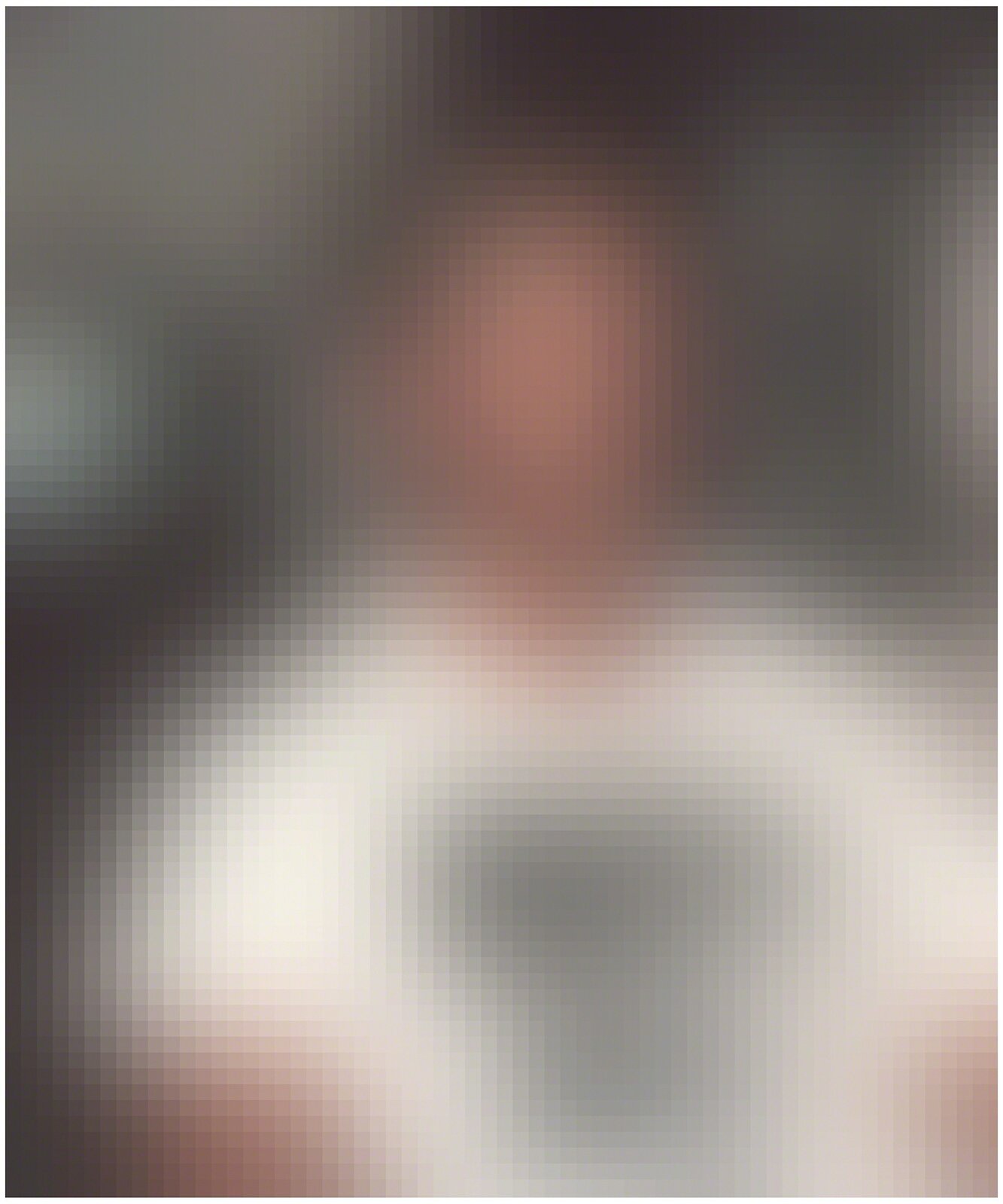 26/44 (Not the Man I Once Was) by Amy Elkins, 2009-2016