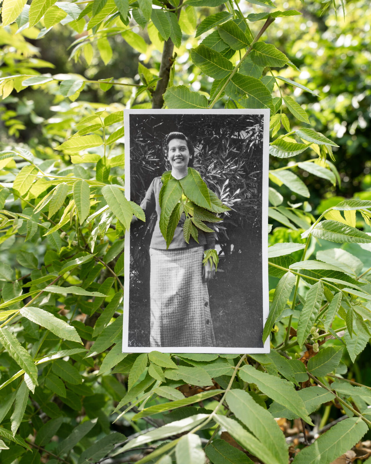 A Place Where We are in The Sun 11 **Xana'yan / Santa Barbara Foothills (Sumac) by Amy Elkins, 2023