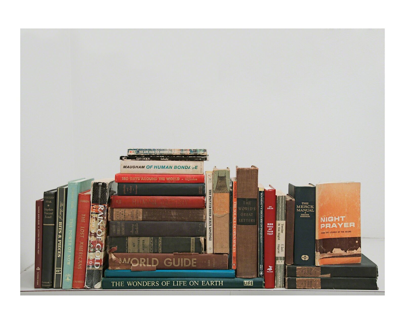 Fictional Library by Amy Elkins, 2009-2016