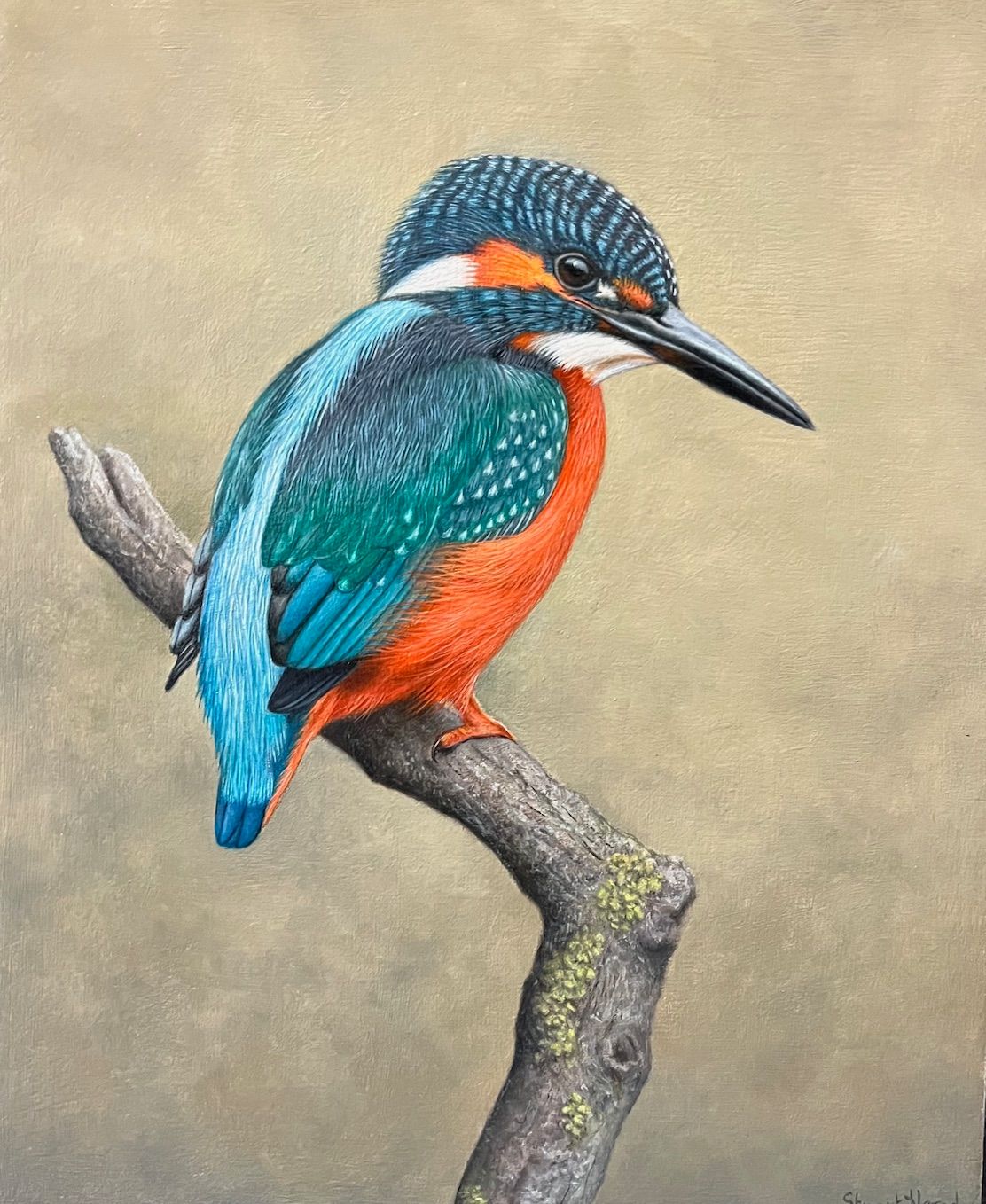 A vividly detailed bird with iridescent blue and orange plumage perches on a textured branch against a muted background.