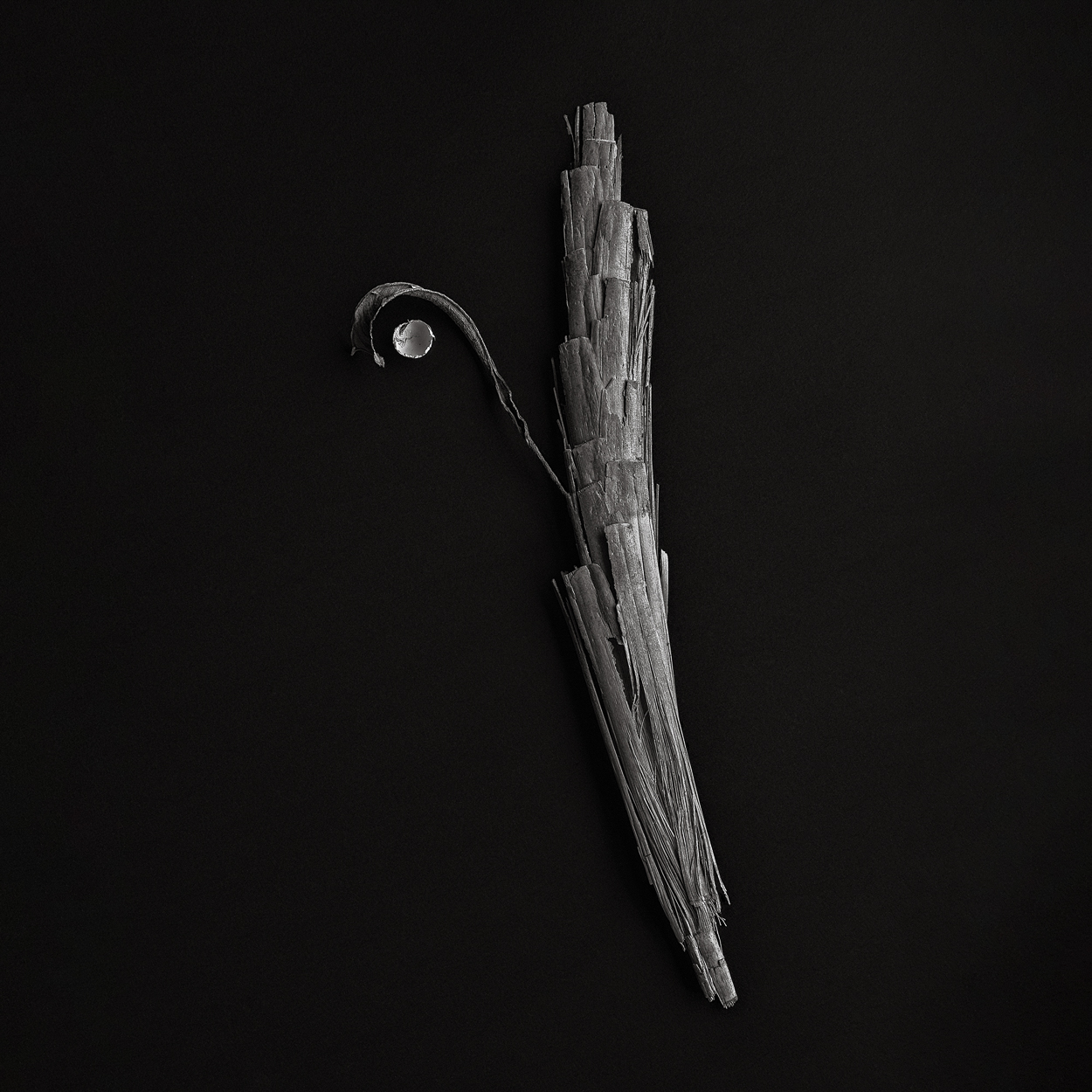 A black and white photo of a stick with a moon in the background.