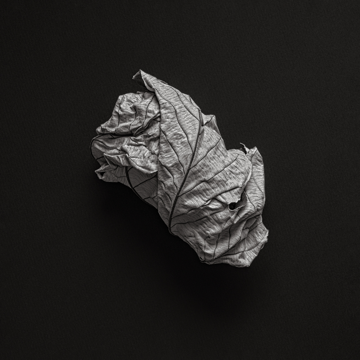 A crumpled piece of paper on a black surface.