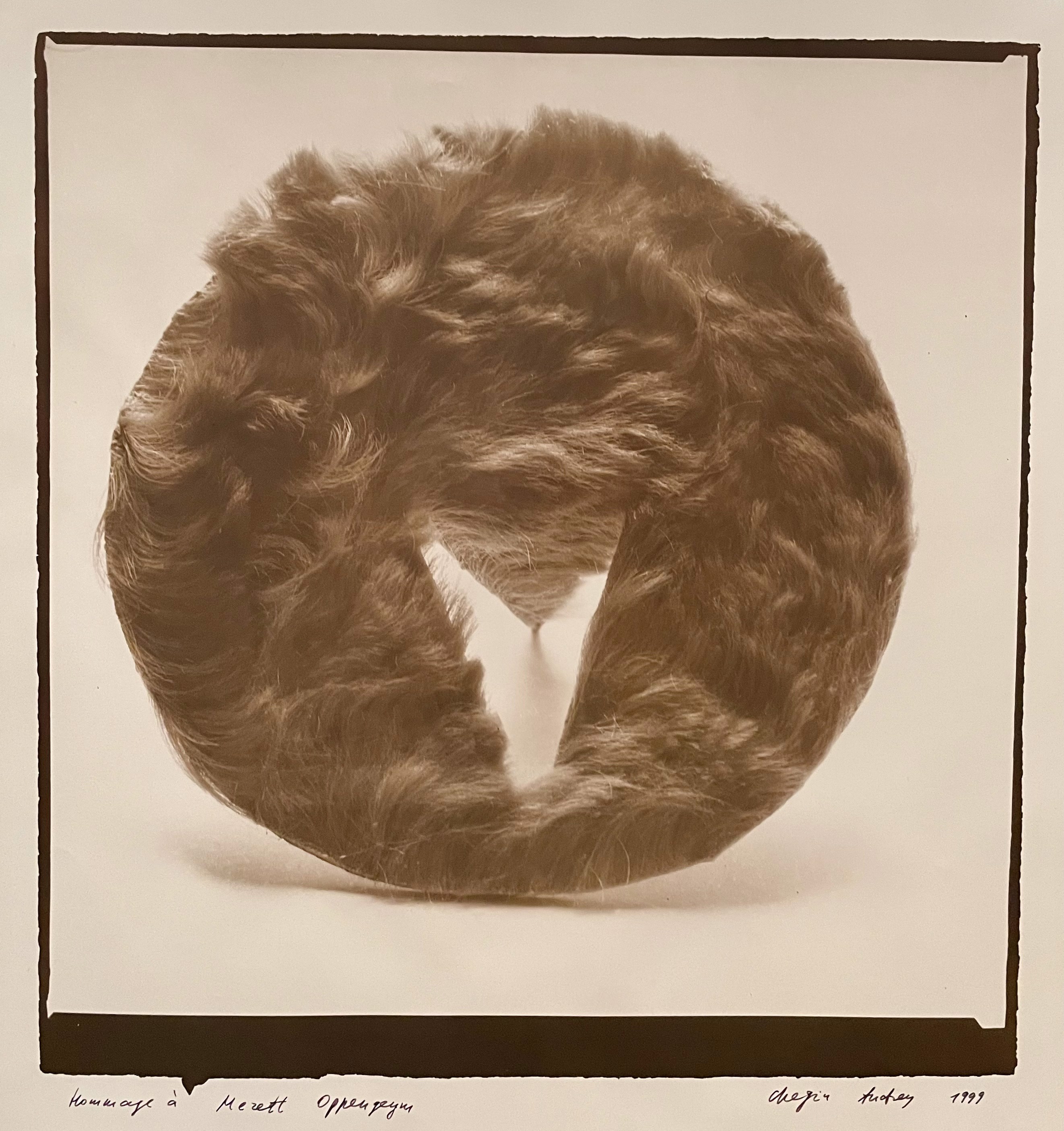 Hommage à Méret Oppenheim by Andrey Chezhin, 1999
