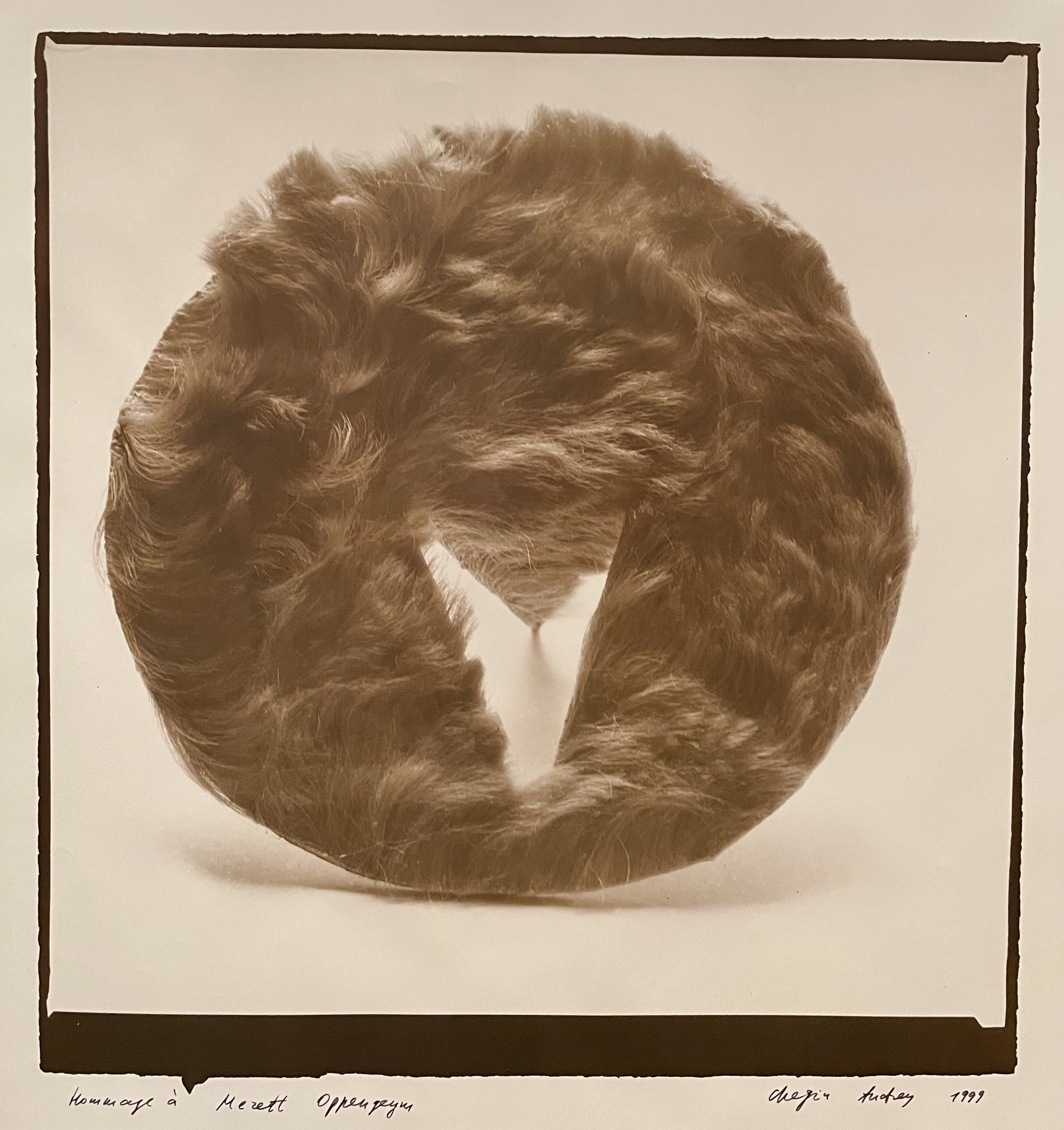 Hommage A Méret Oppenheim by Andrey Chezhin, 1999