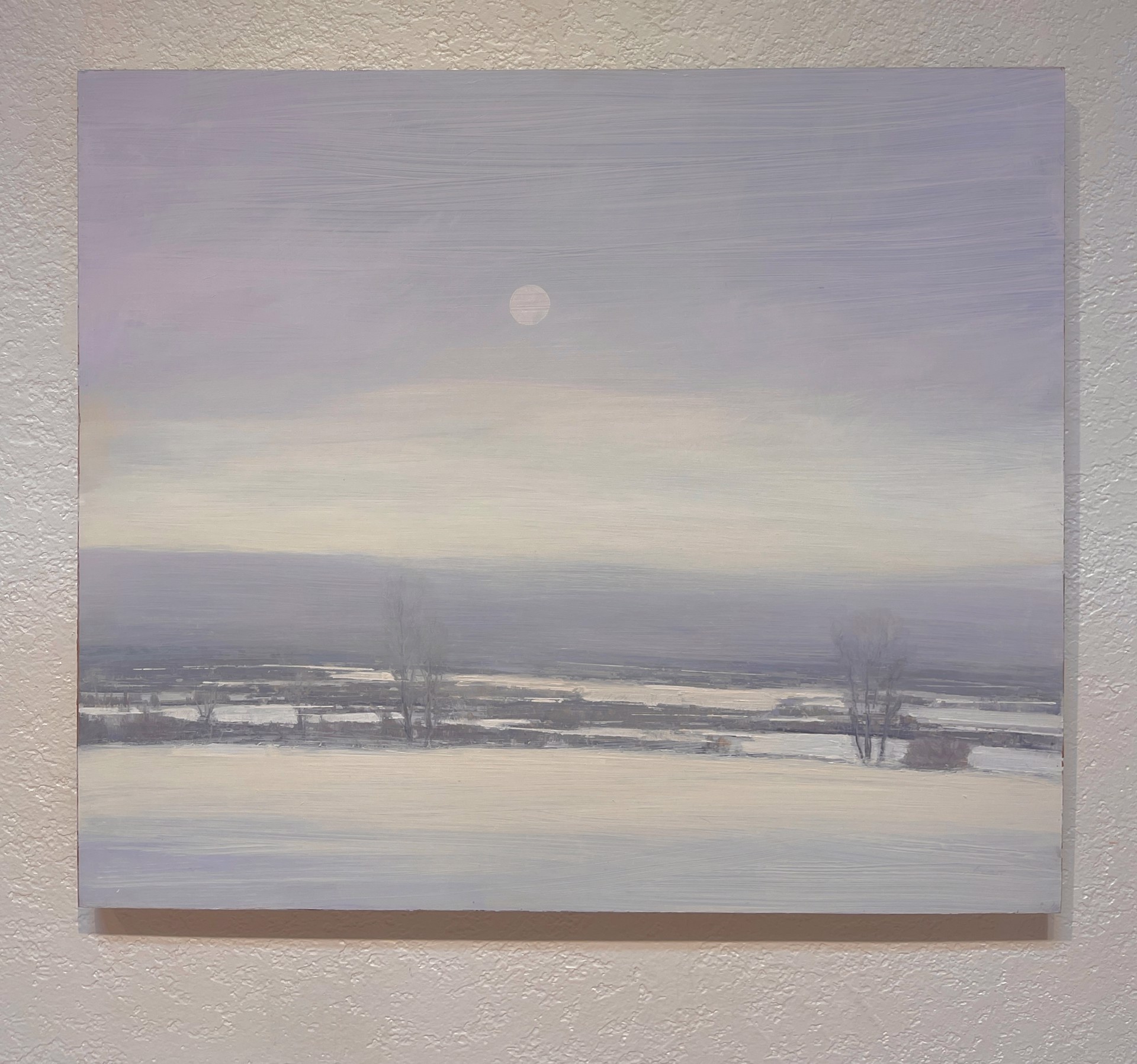 A muted winter landscape under a pale sky with a visible moon.