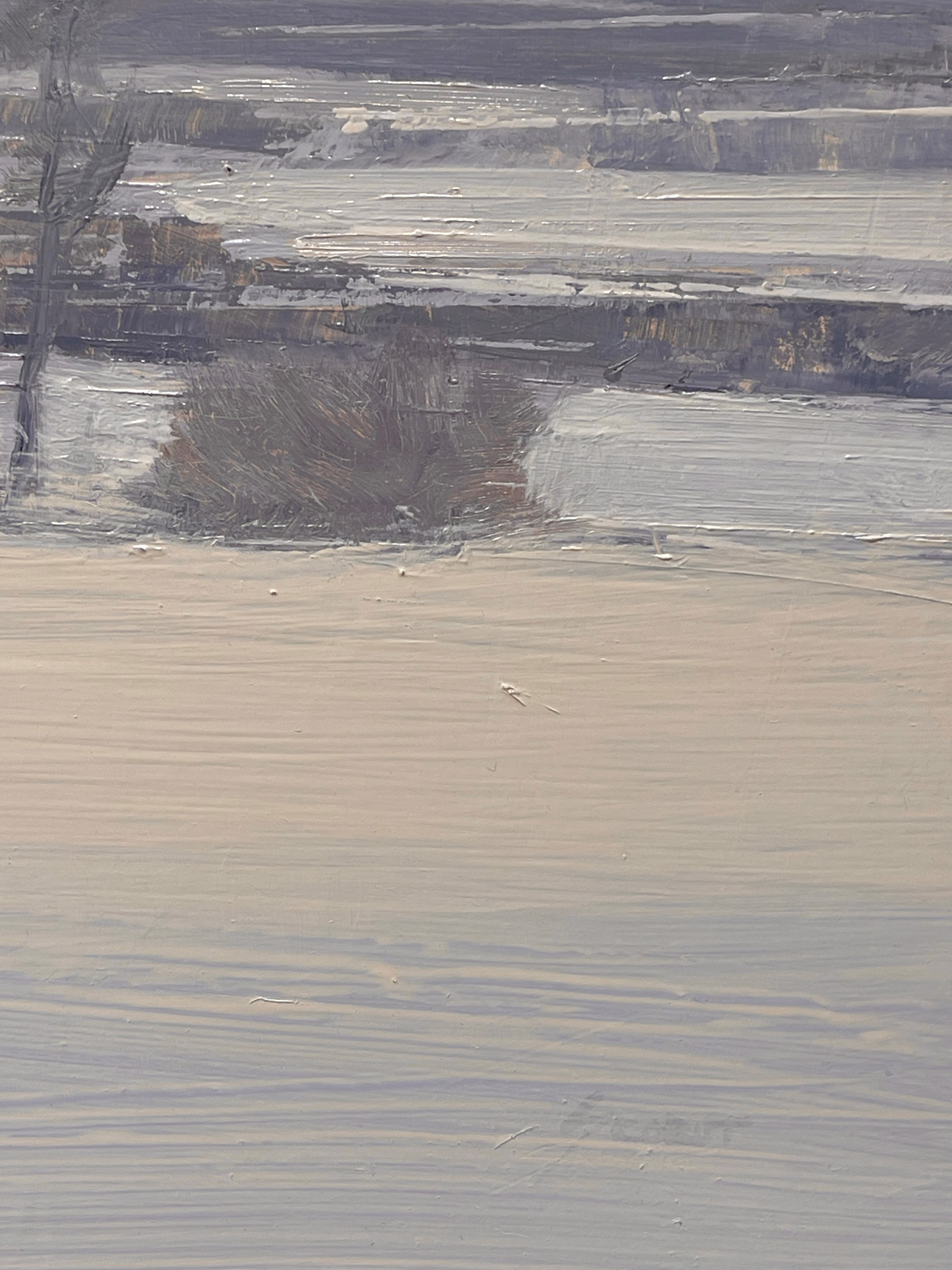 A muted winter landscape under a pale sky with a visible moon.