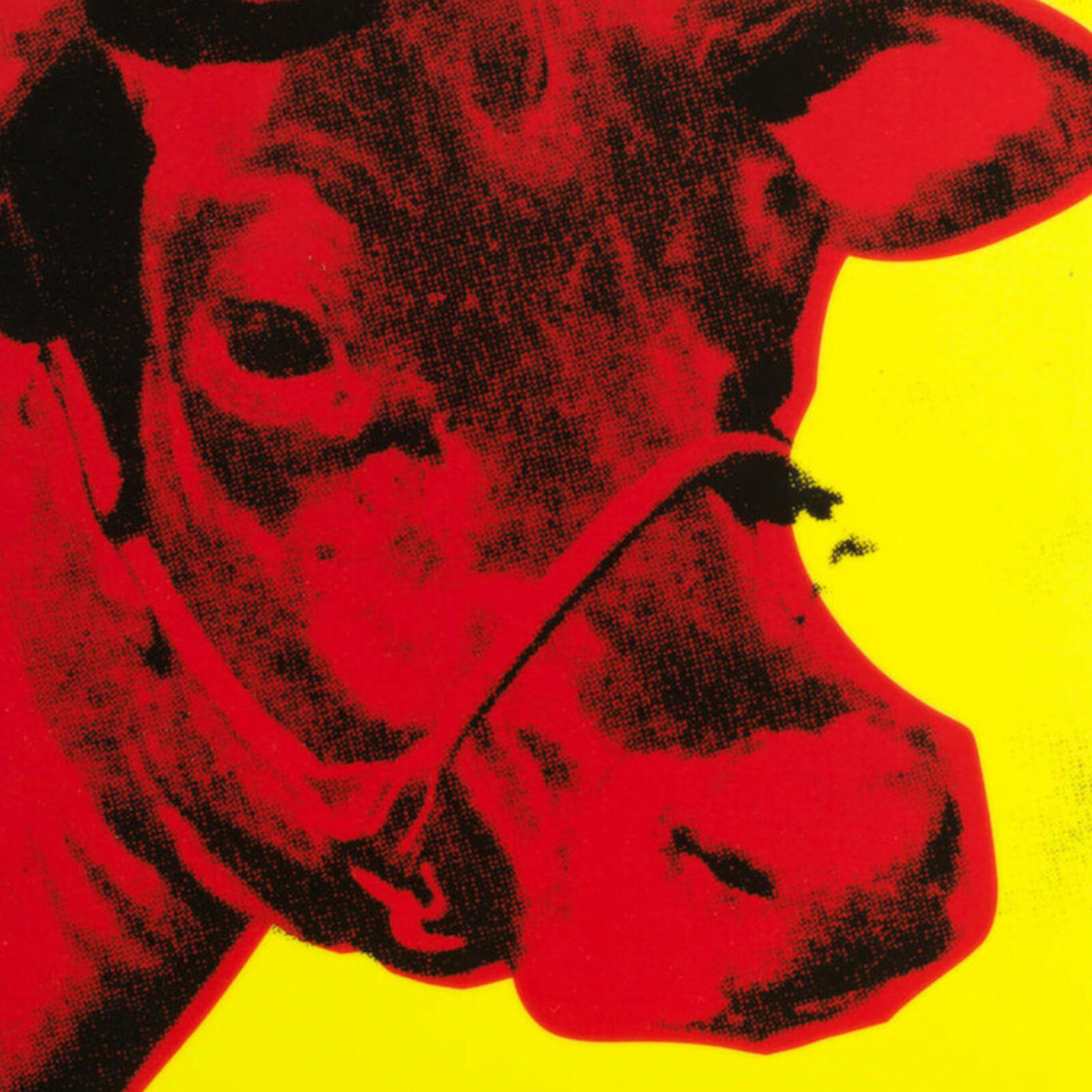 A picture of a red cow on a yellow background.