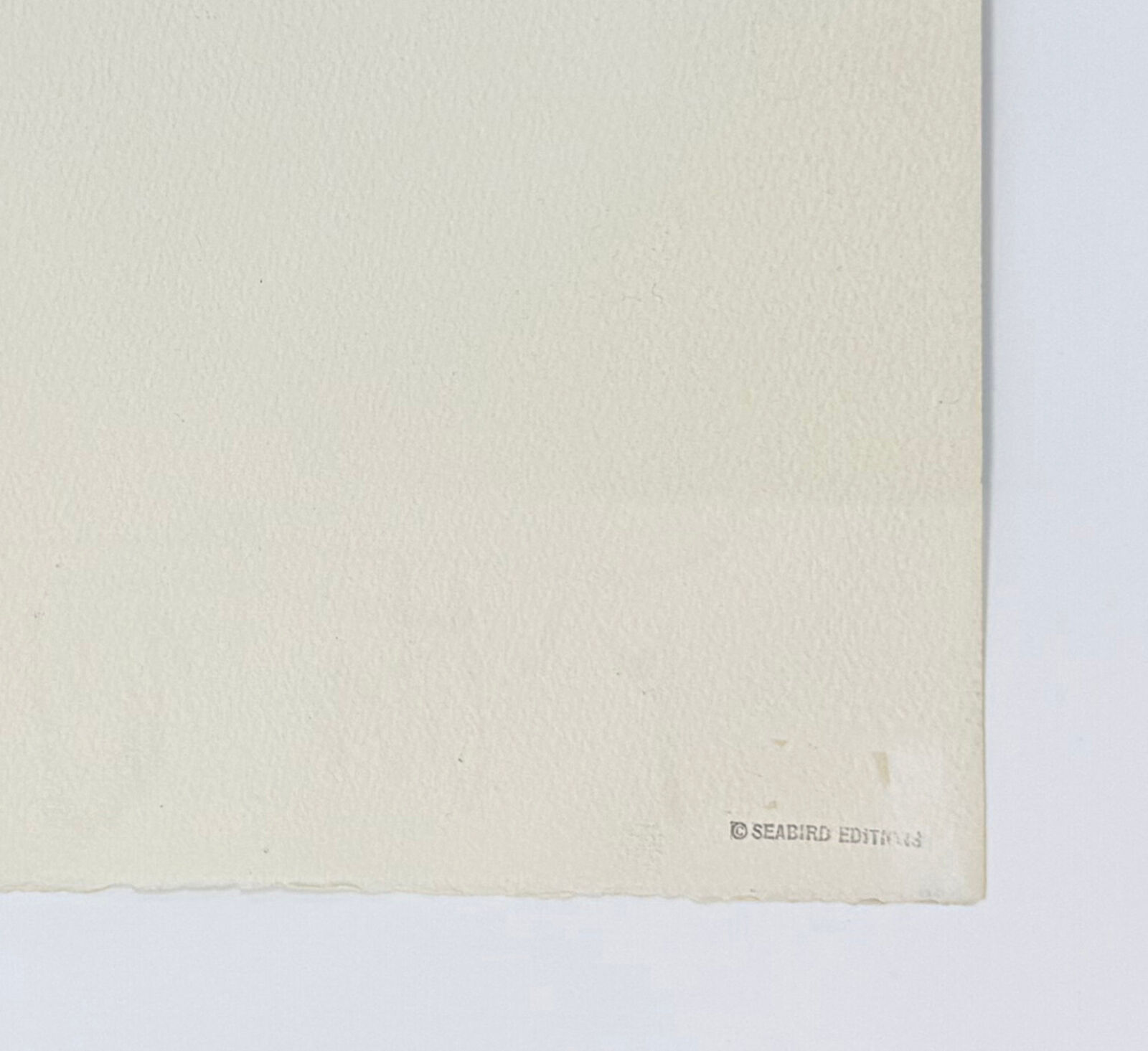 Artwork by Andy Warhol, Mick Jagger FS II.146 (dual signed screen print), Made of Screen Print 