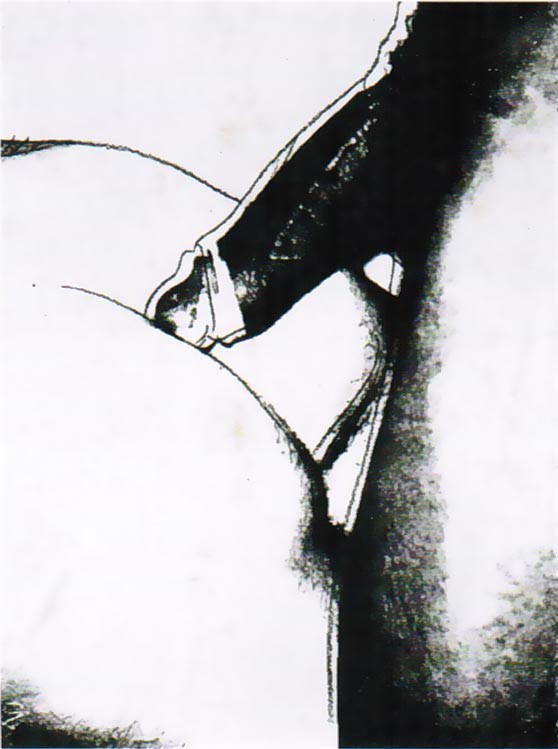 Sex Parts, II.174 by Andy Warhol, 1978