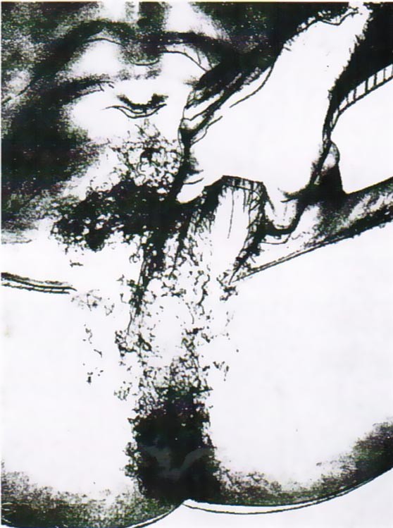Sex Parts, II.177 by Andy Warhol, 1978