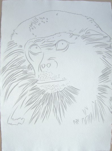 Vanishing Animals – Douc Langur by Andy Warhol, 1986