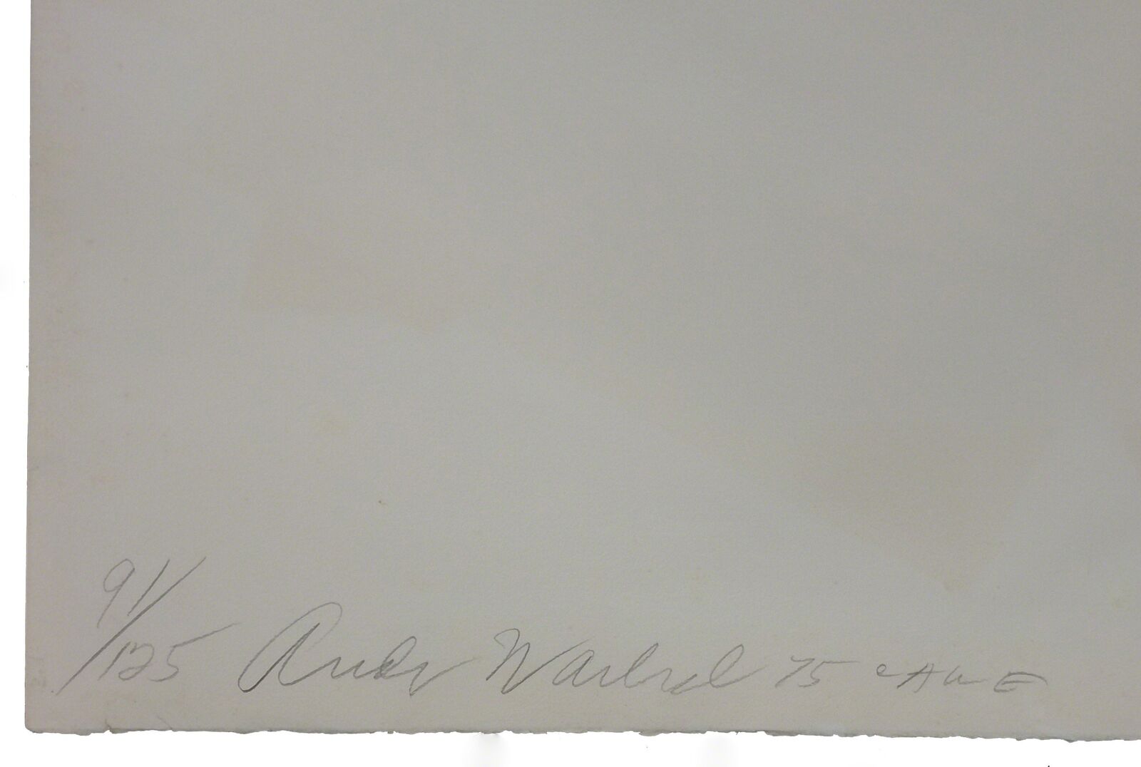 Artwork by Andy Warhol, LADIES & GENTLEMEN FS II.137, Made of Screenprint On Arches Paper 