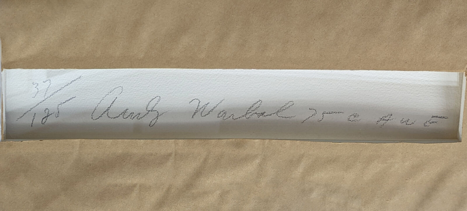 Artwork by Andy Warhol, LADIES & GENTLEMEN FS II.138, Made of Screen Print 