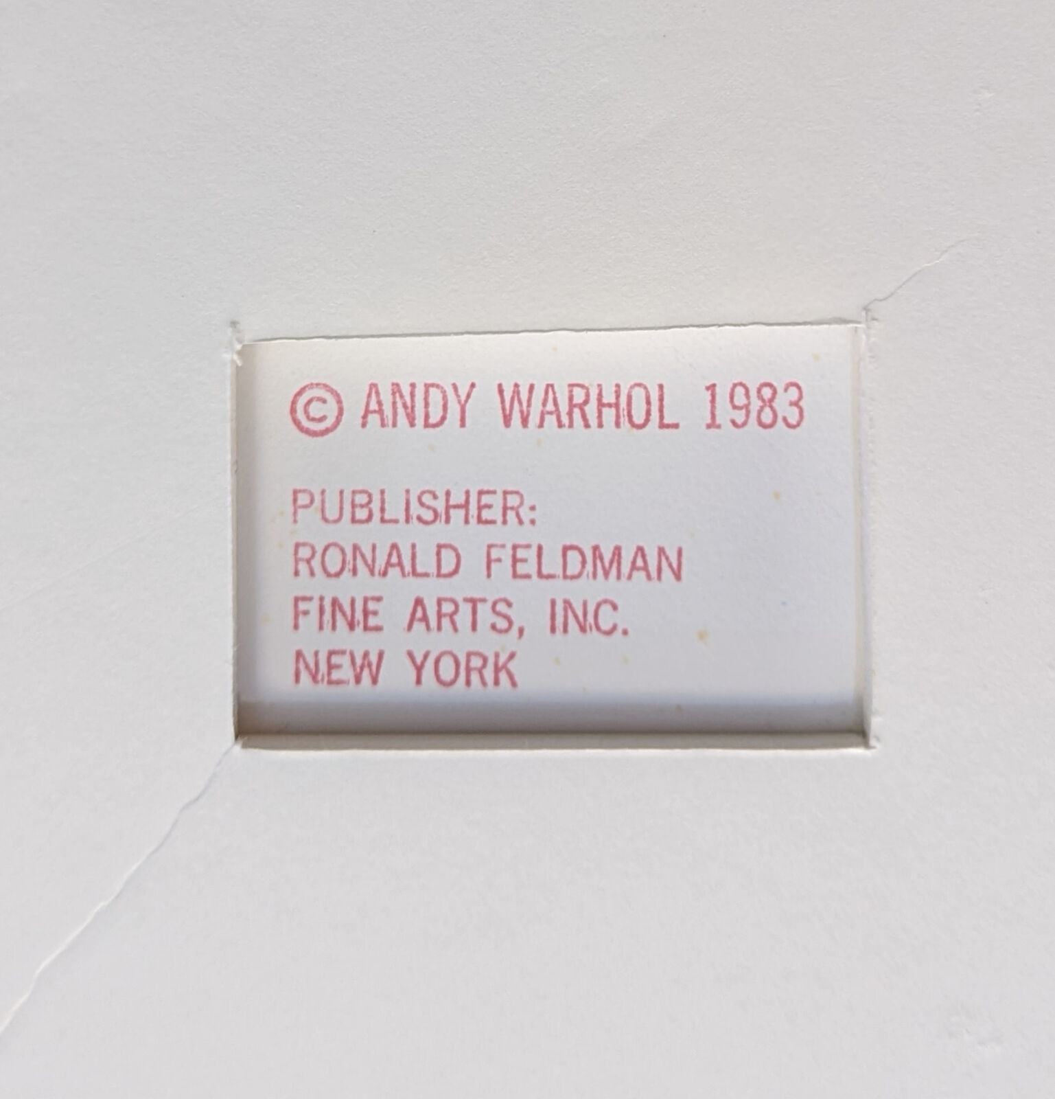 Artwork by Andy Warhol, PINE BARRENS TREE FROG FS II.294, Made of Screenprint On Lenox Museum Board 