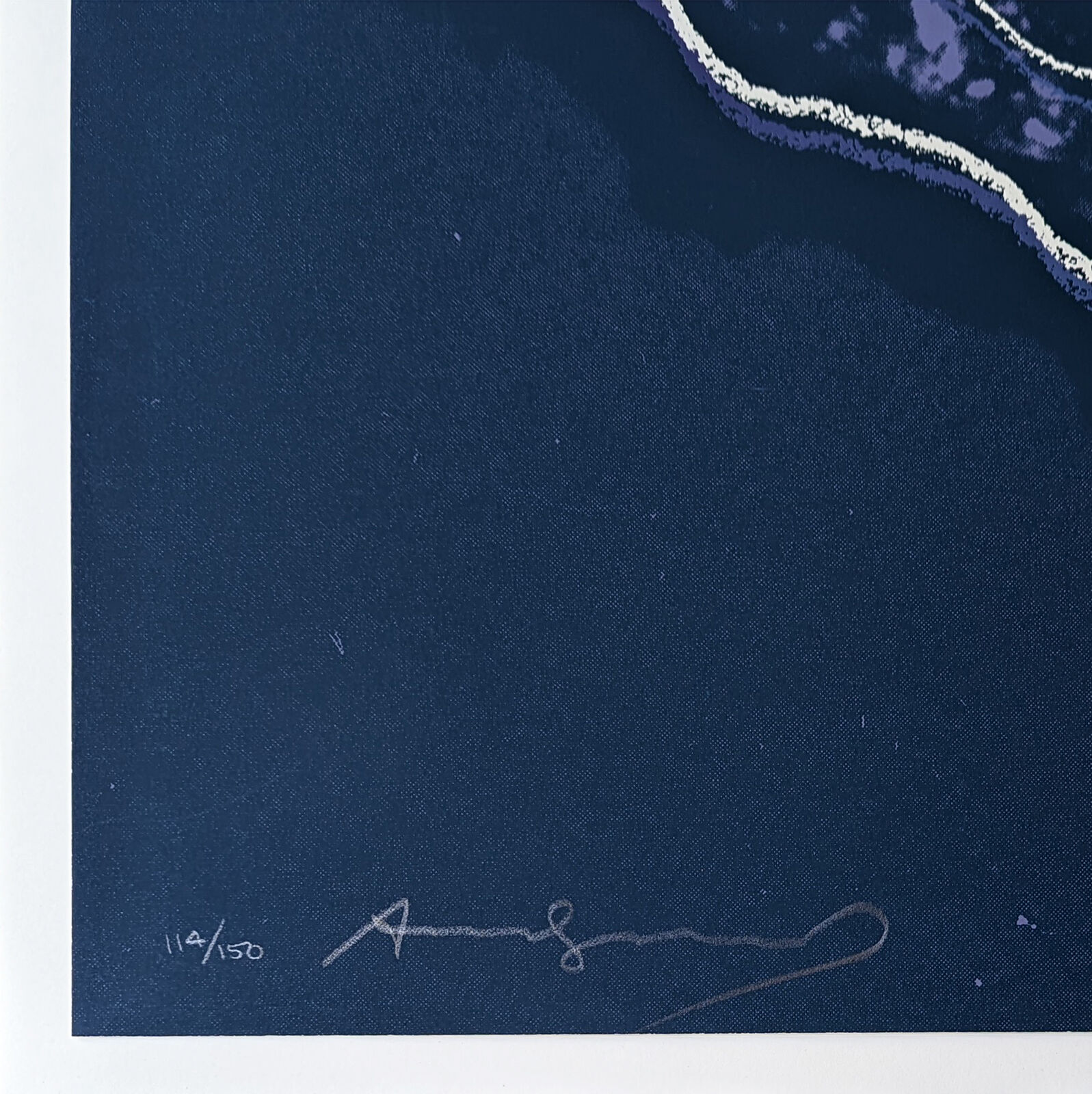 Artwork by Andy Warhol, PINE BARRENS TREE FROG FS II.294, Made of Screenprint On Lenox Museum Board 