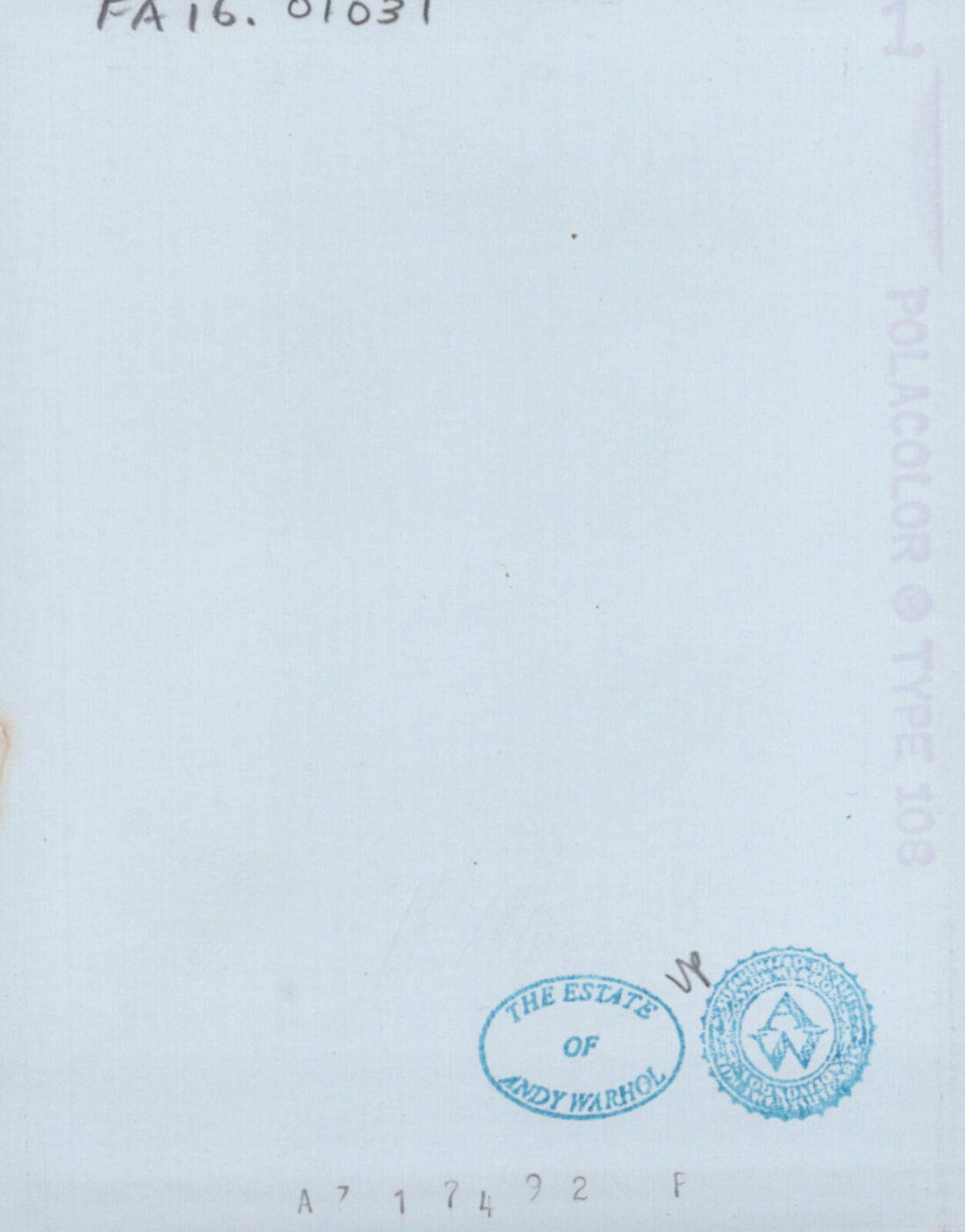 A man with a hairy penis is shown in a polaroid photo.