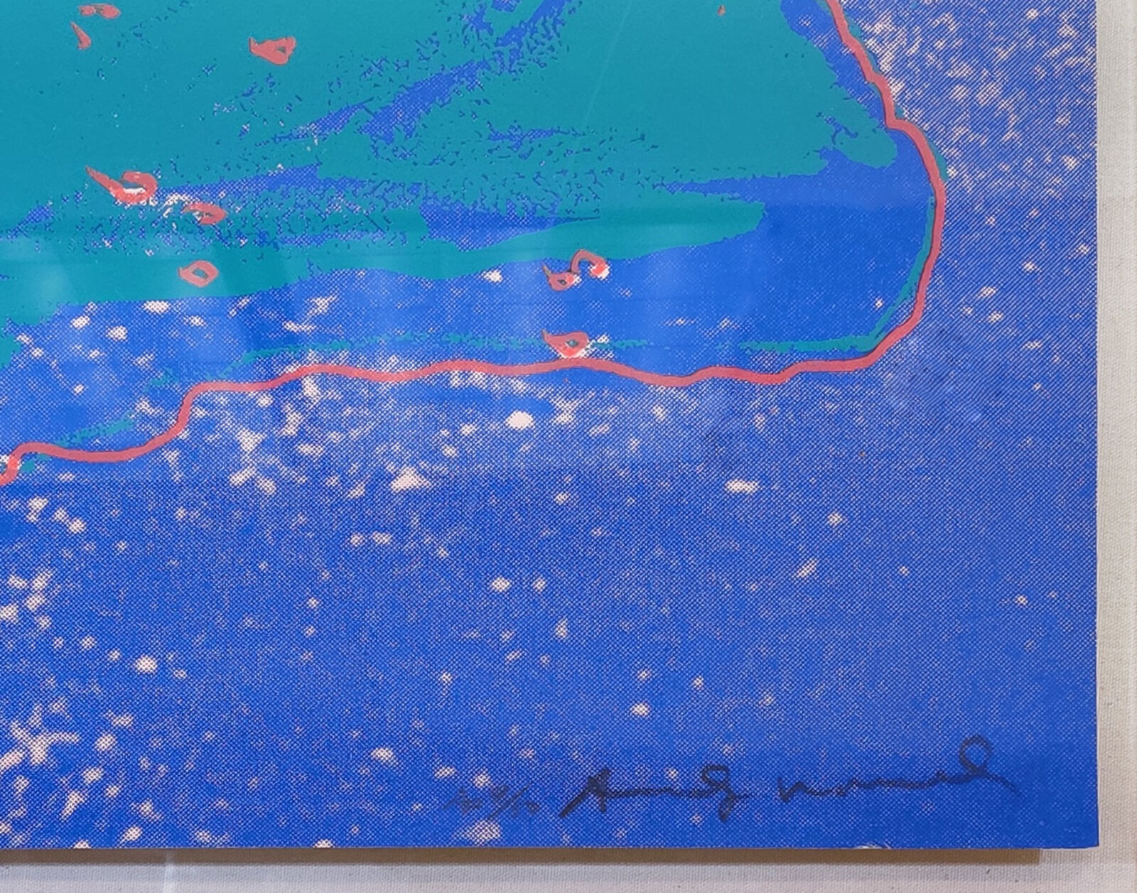 Artwork by Andy Warhol, TURTLE FS II.360A, Made of Screenprint On Lenox Museum Board 