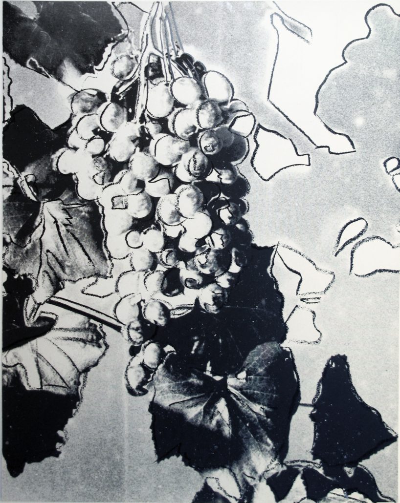 Artwork by Andy Warhol, Grapes, Made of Unique black and white screenprint 
