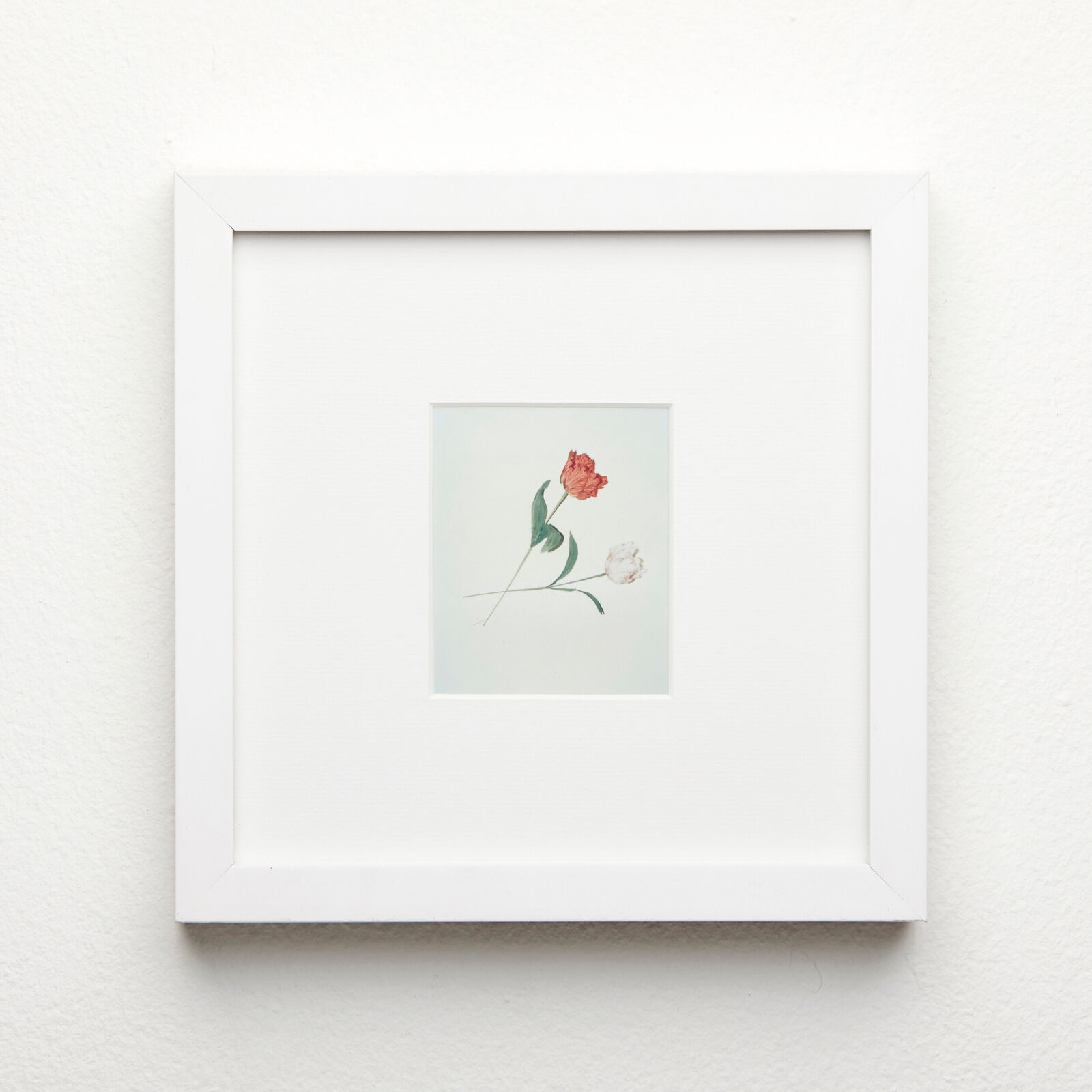 Flowers by Andy Warhol, 1983