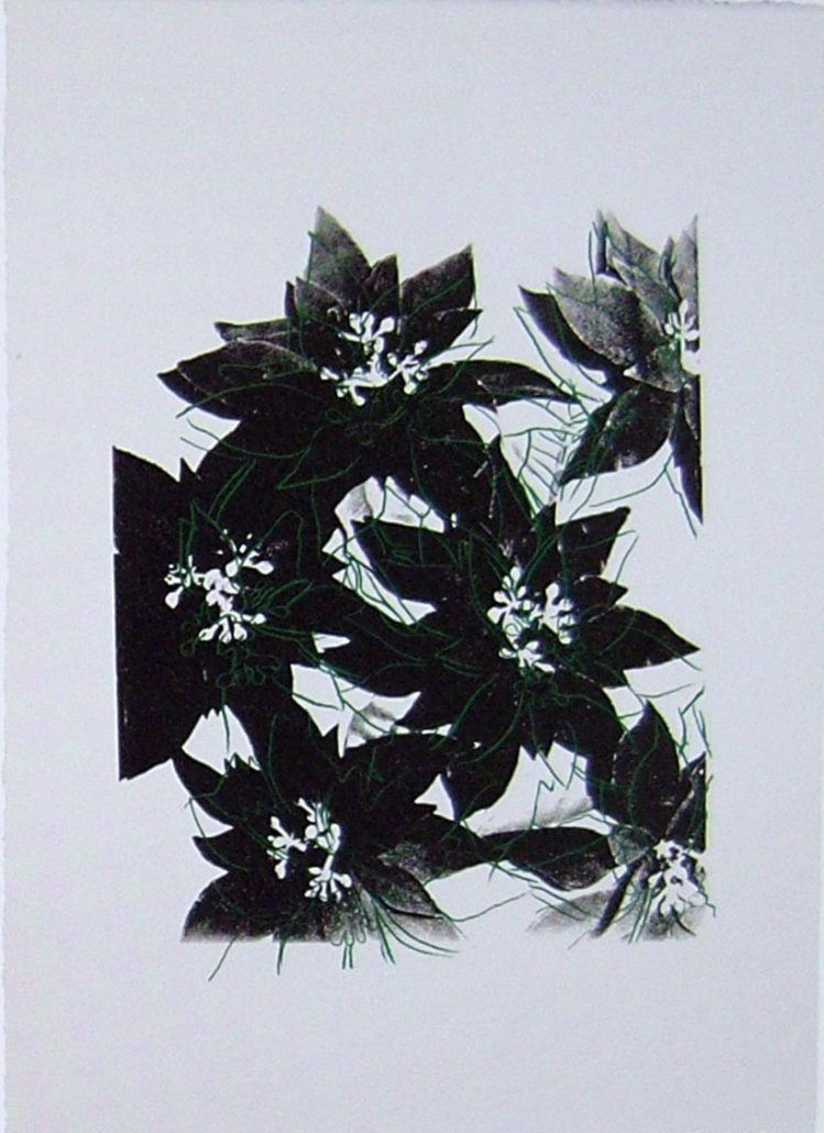 Artwork by Andy Warhol, Poinsettias, Made of Unique screenprint 