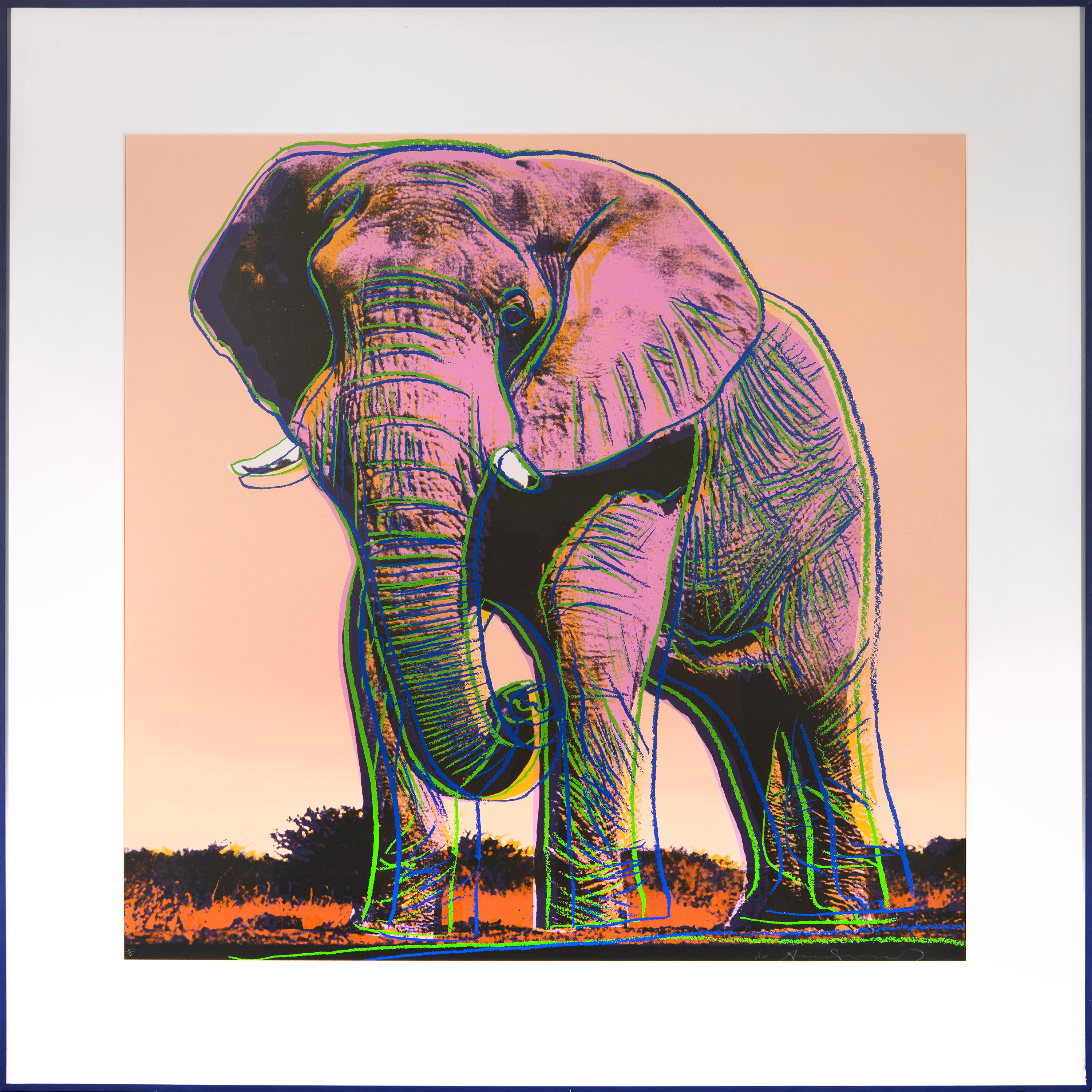 Artwork by Andy Warhol, African Elephant (F & S II.293), Made of Screenprint on Lenox Museum Board 
