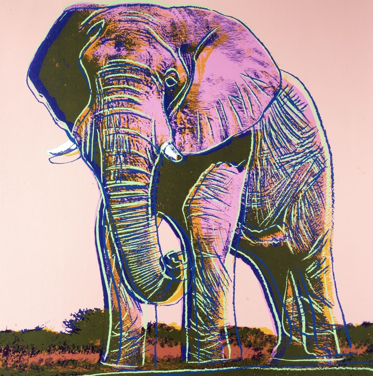 Artwork by Andy Warhol, African Elephant (F & S II.293), Made of Screenprint on Lenox Museum Board 