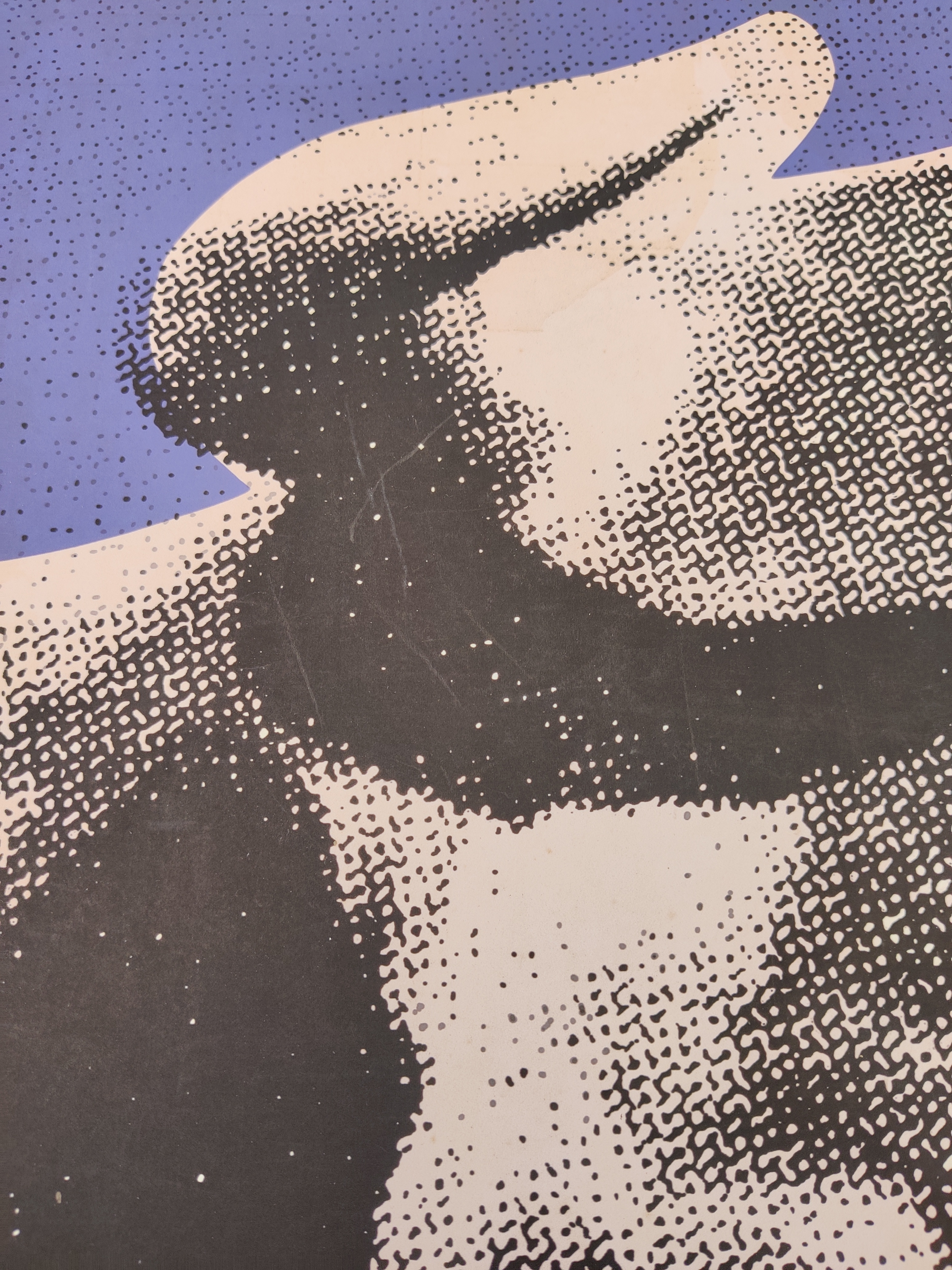 A picture of a cow on a purple background.