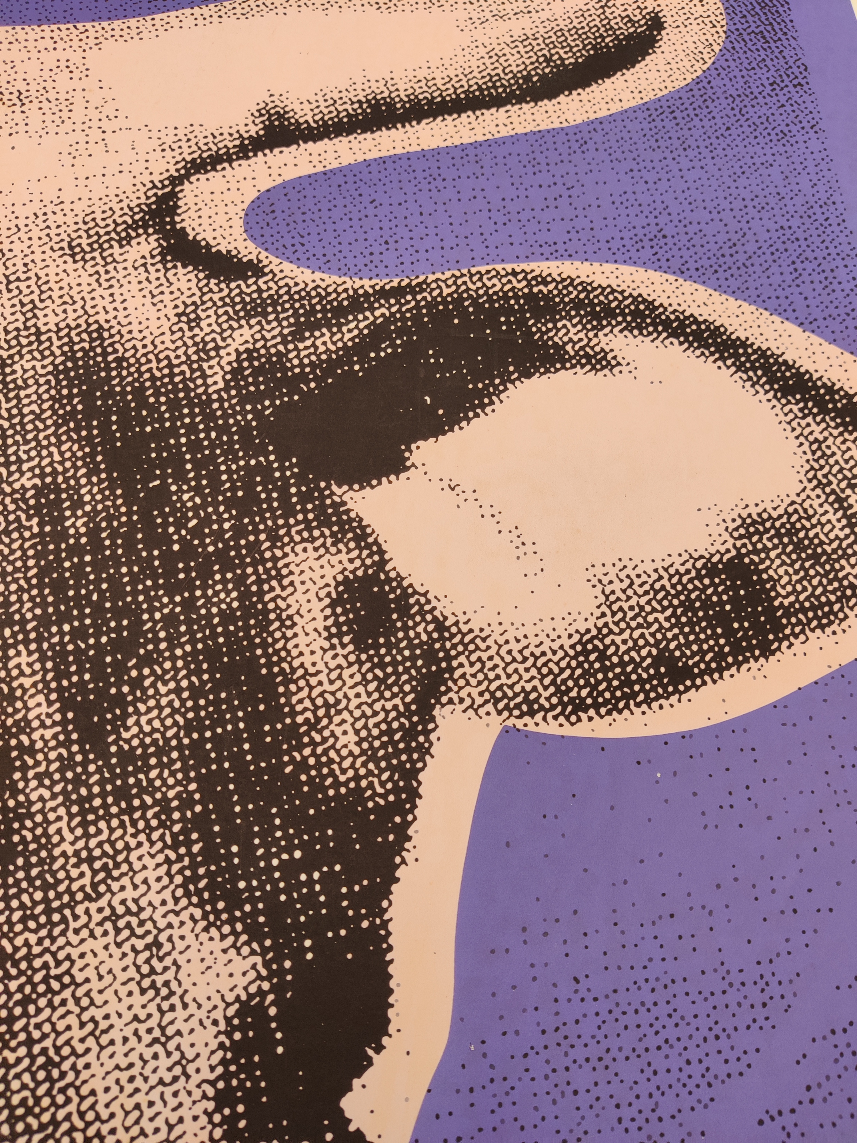 A picture of a cow on a purple background.