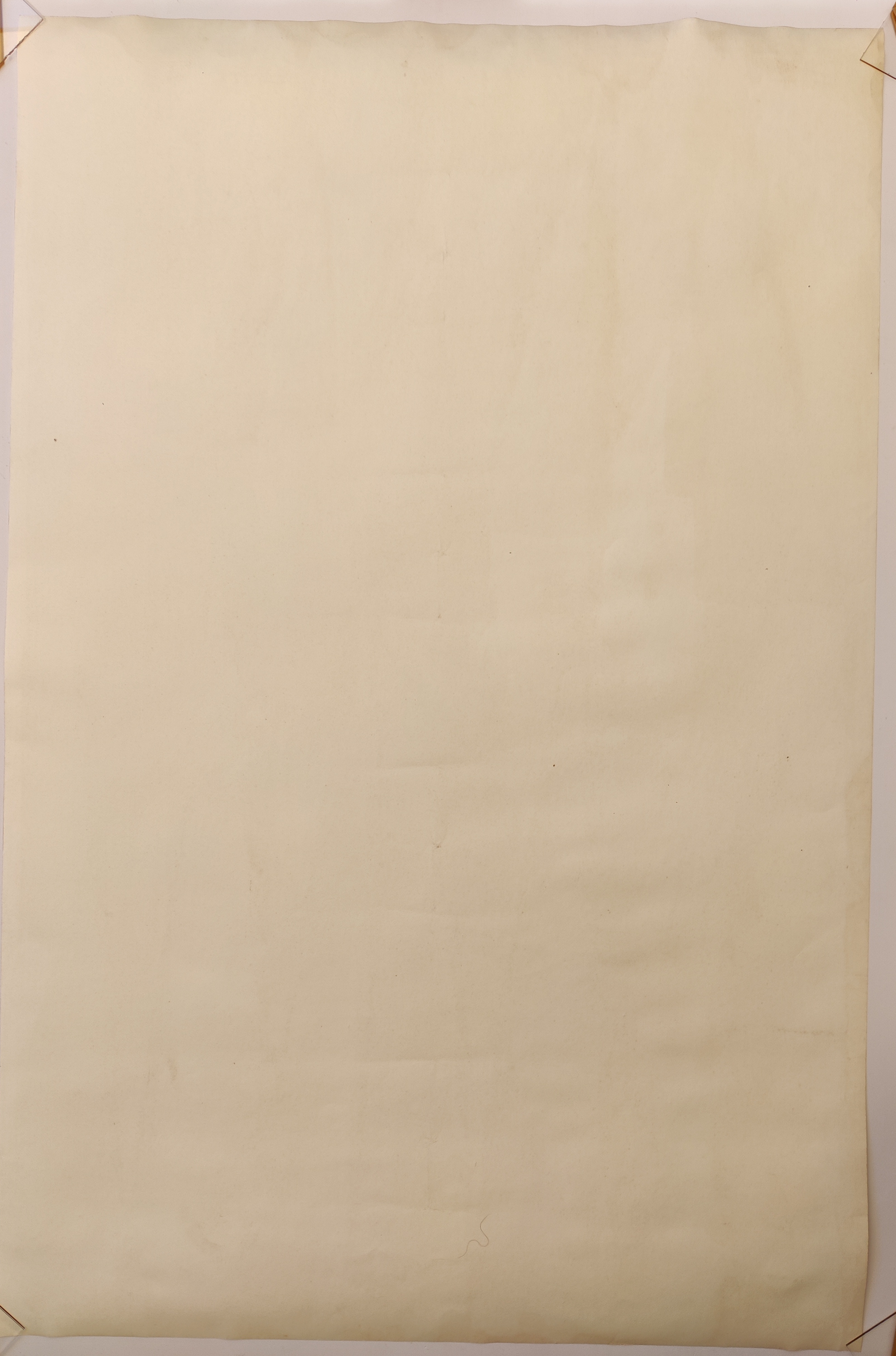 A picture of a cow on a purple background.