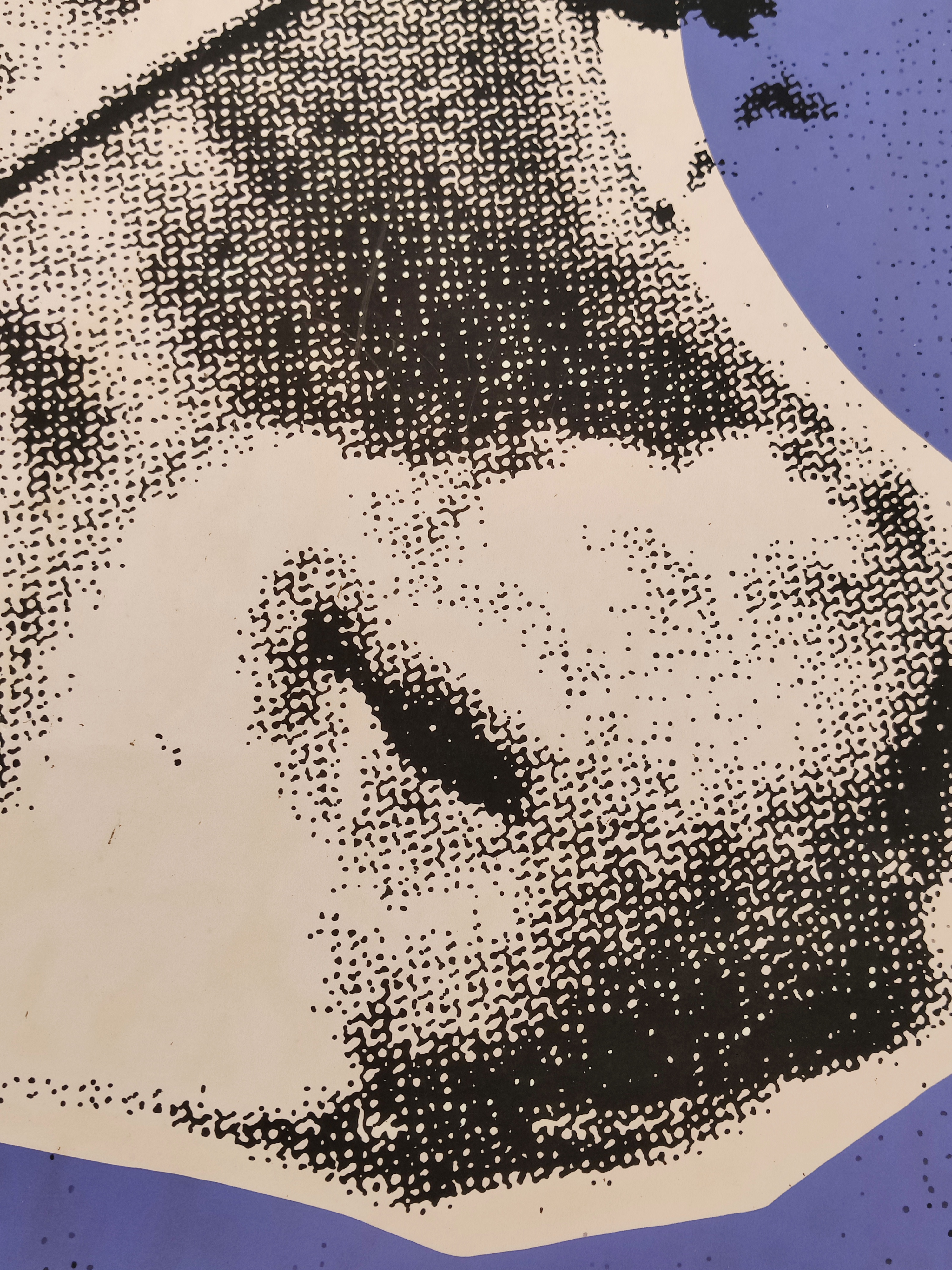 A picture of a cow on a purple background.