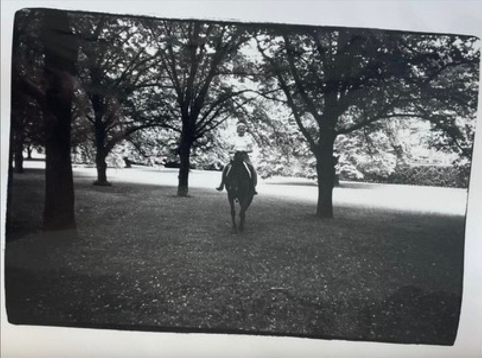A black and white photo of a person riding a horse in a park.